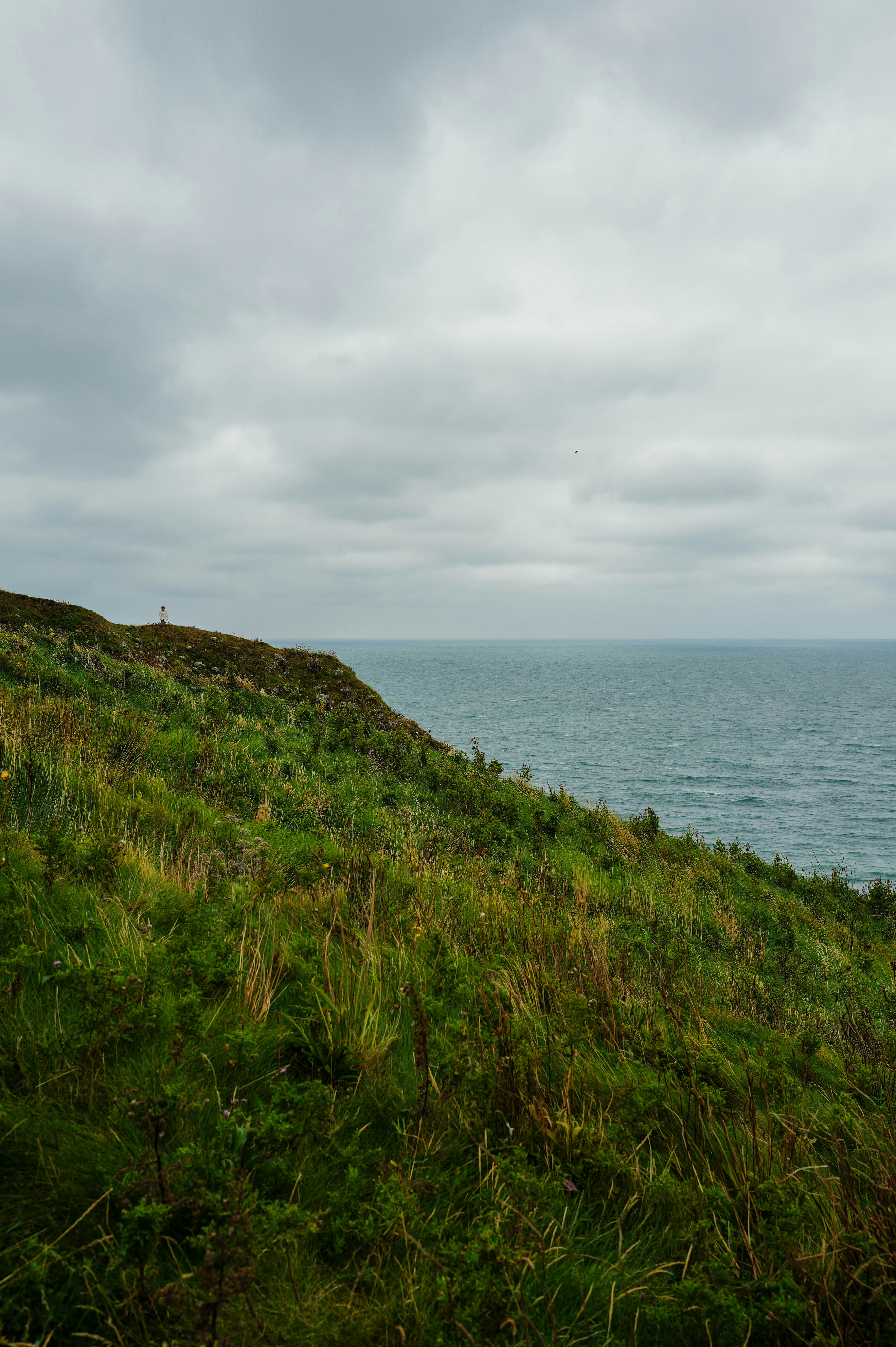 Photo by adrienolichon