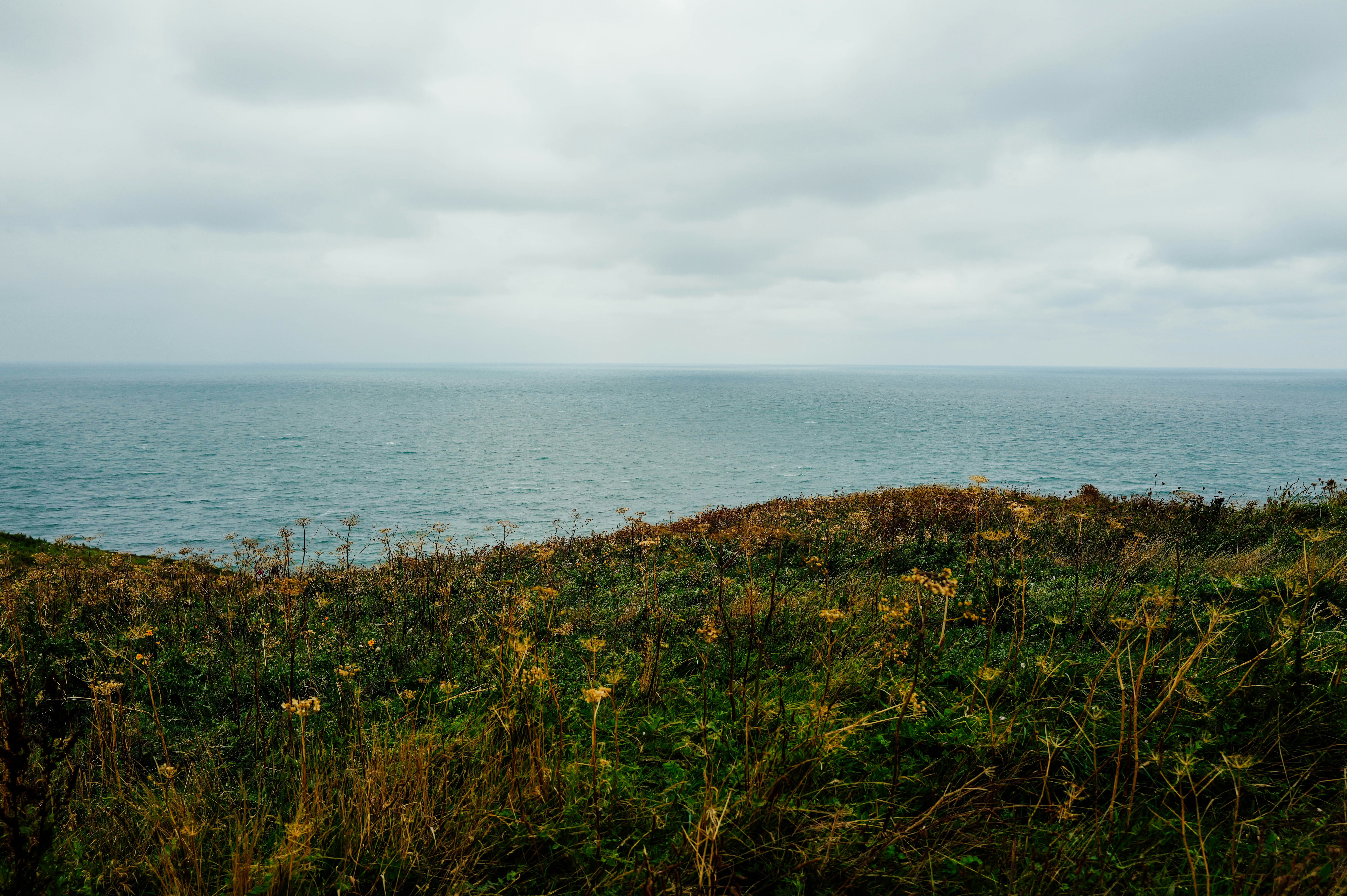 Photo by adrienolichon