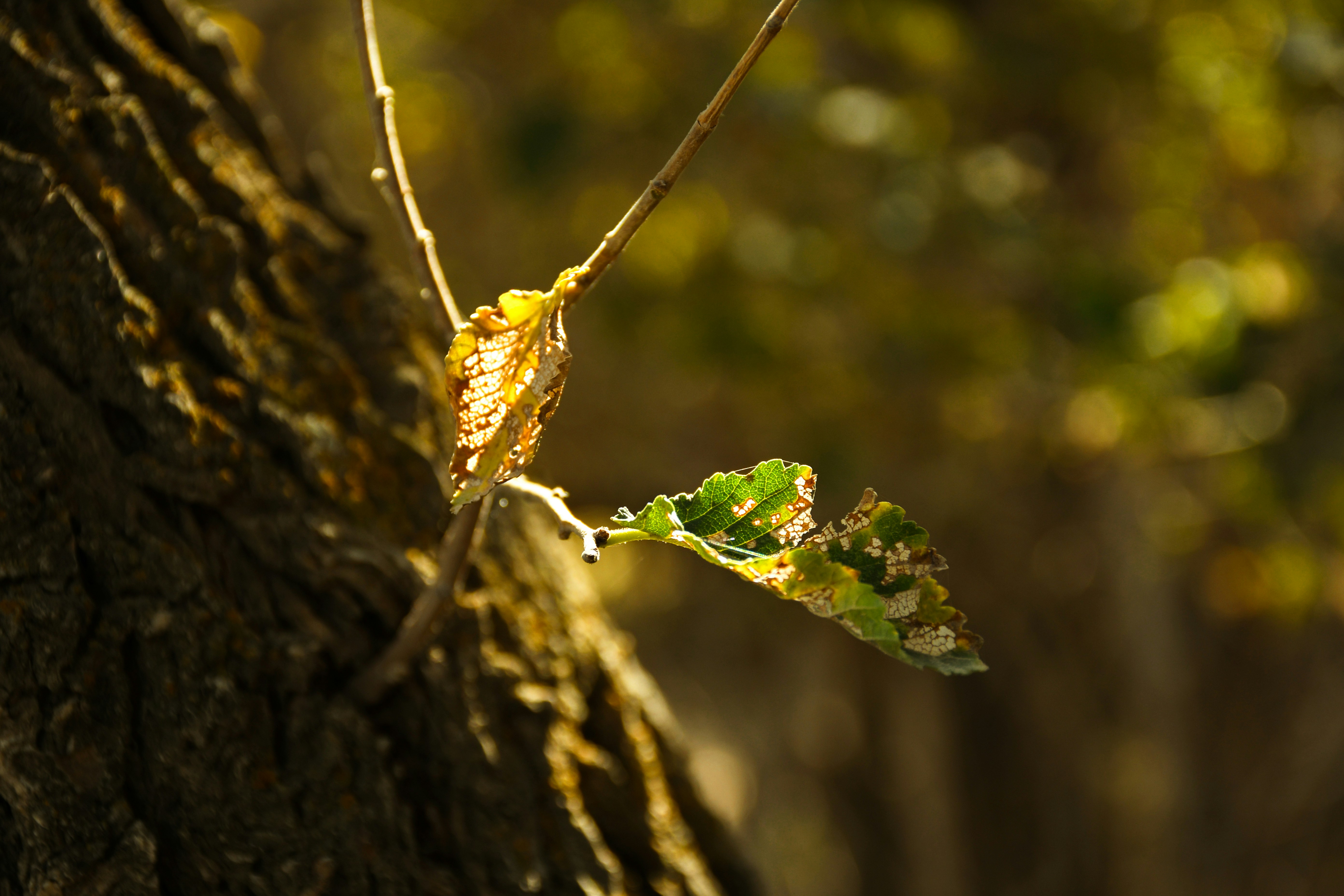 Photo by mahzad__2004