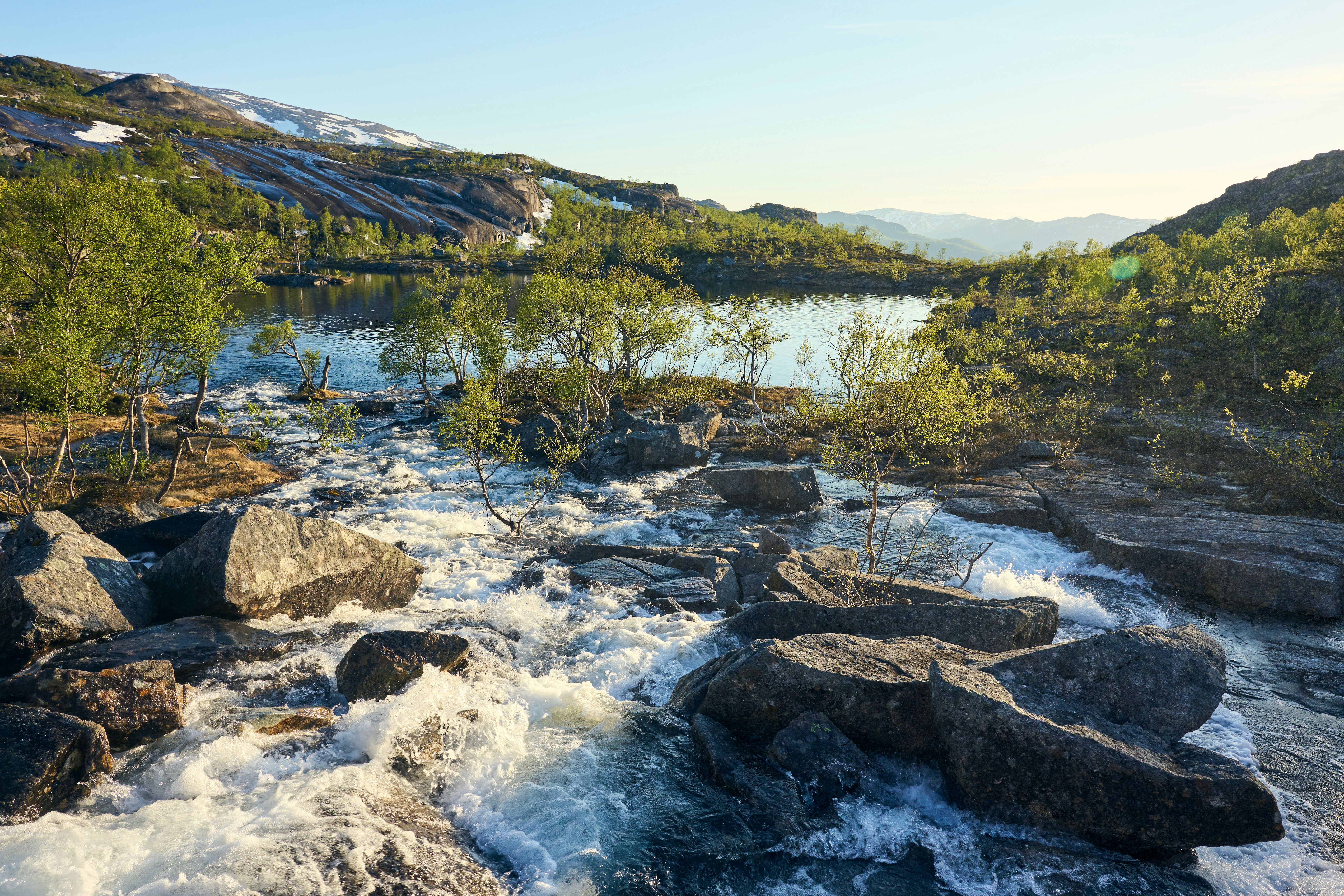A river running through a lush green forest