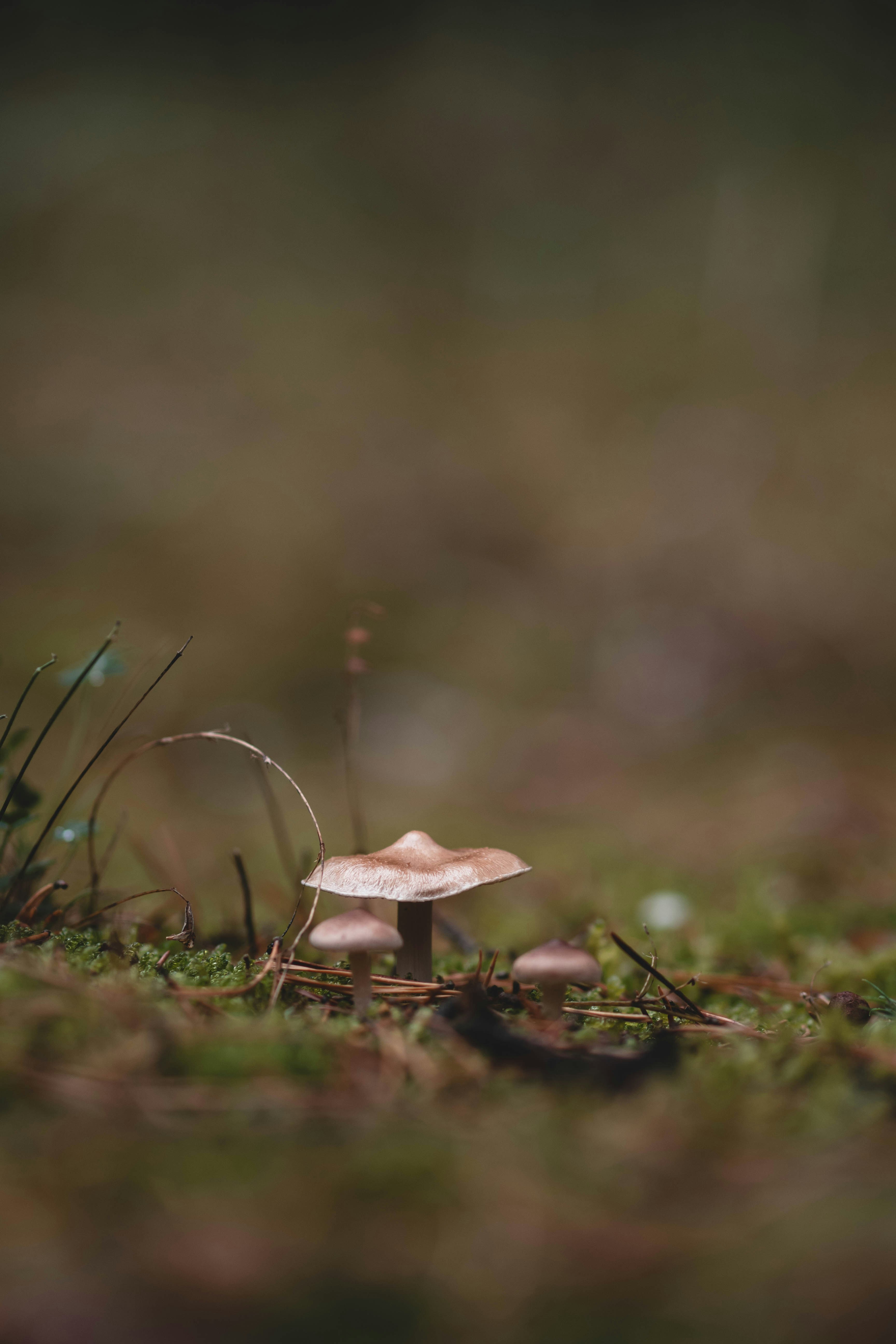 Photo by eileen_kummer