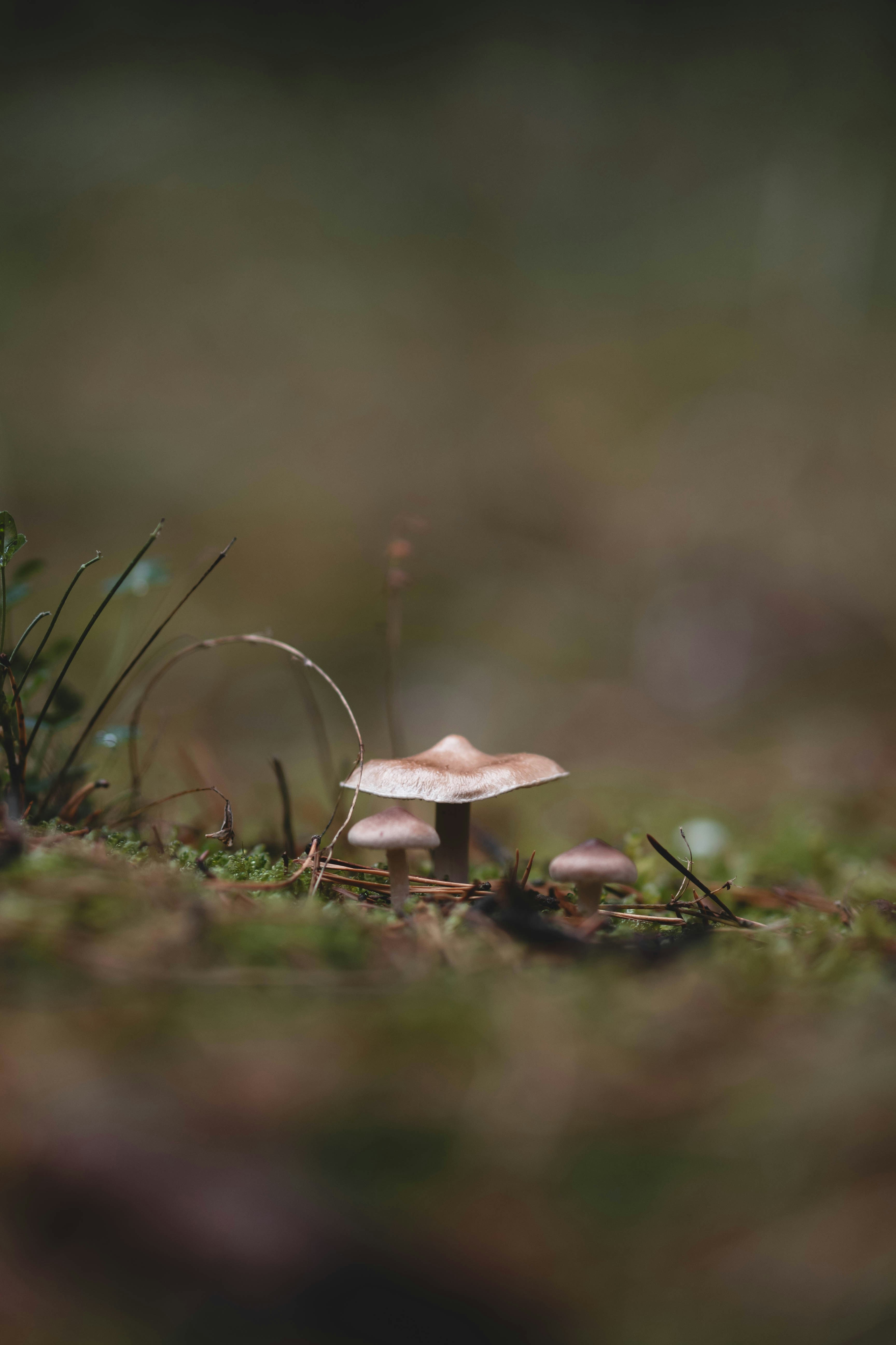 Photo by eileen_kummer