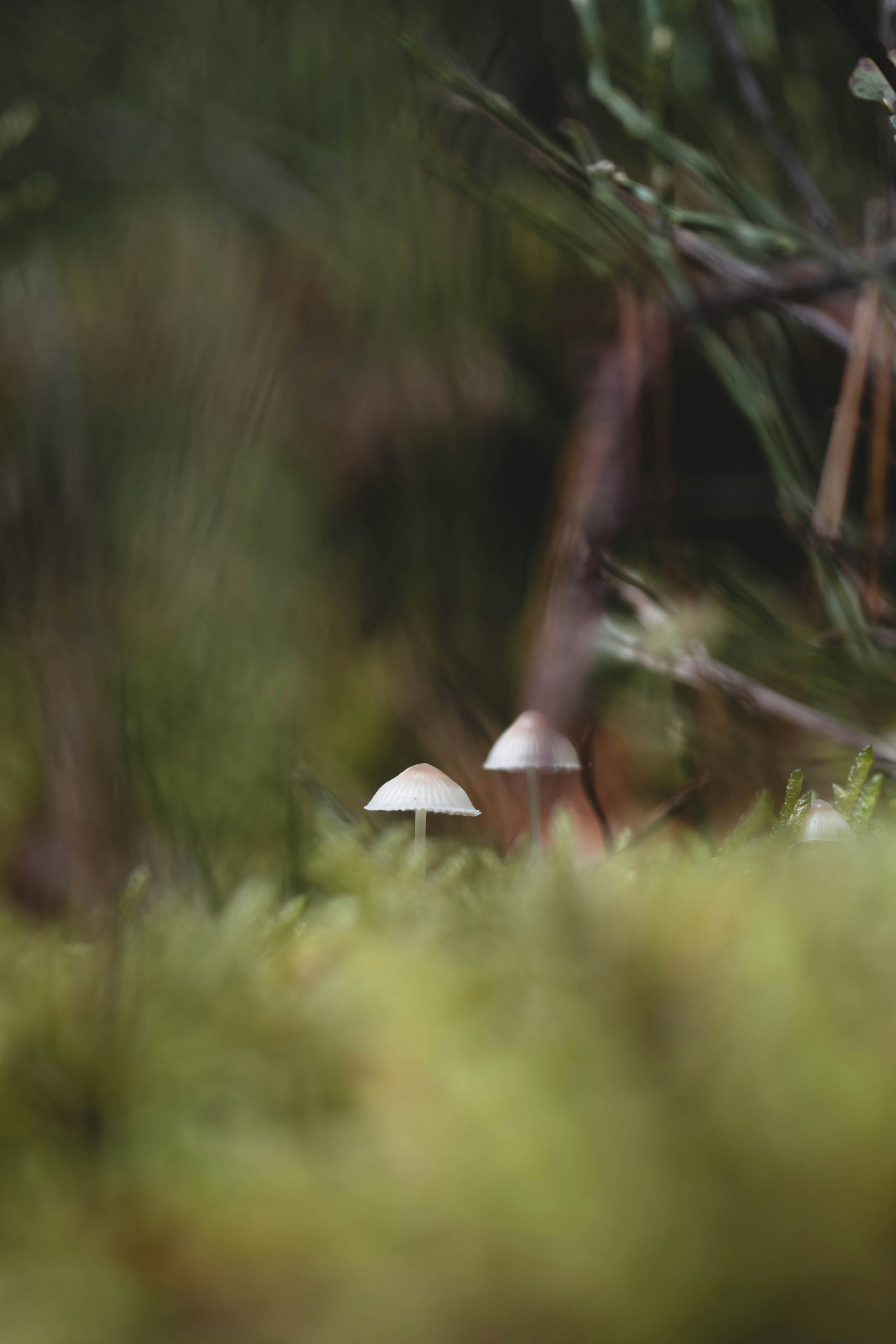 Photo by eileen_kummer