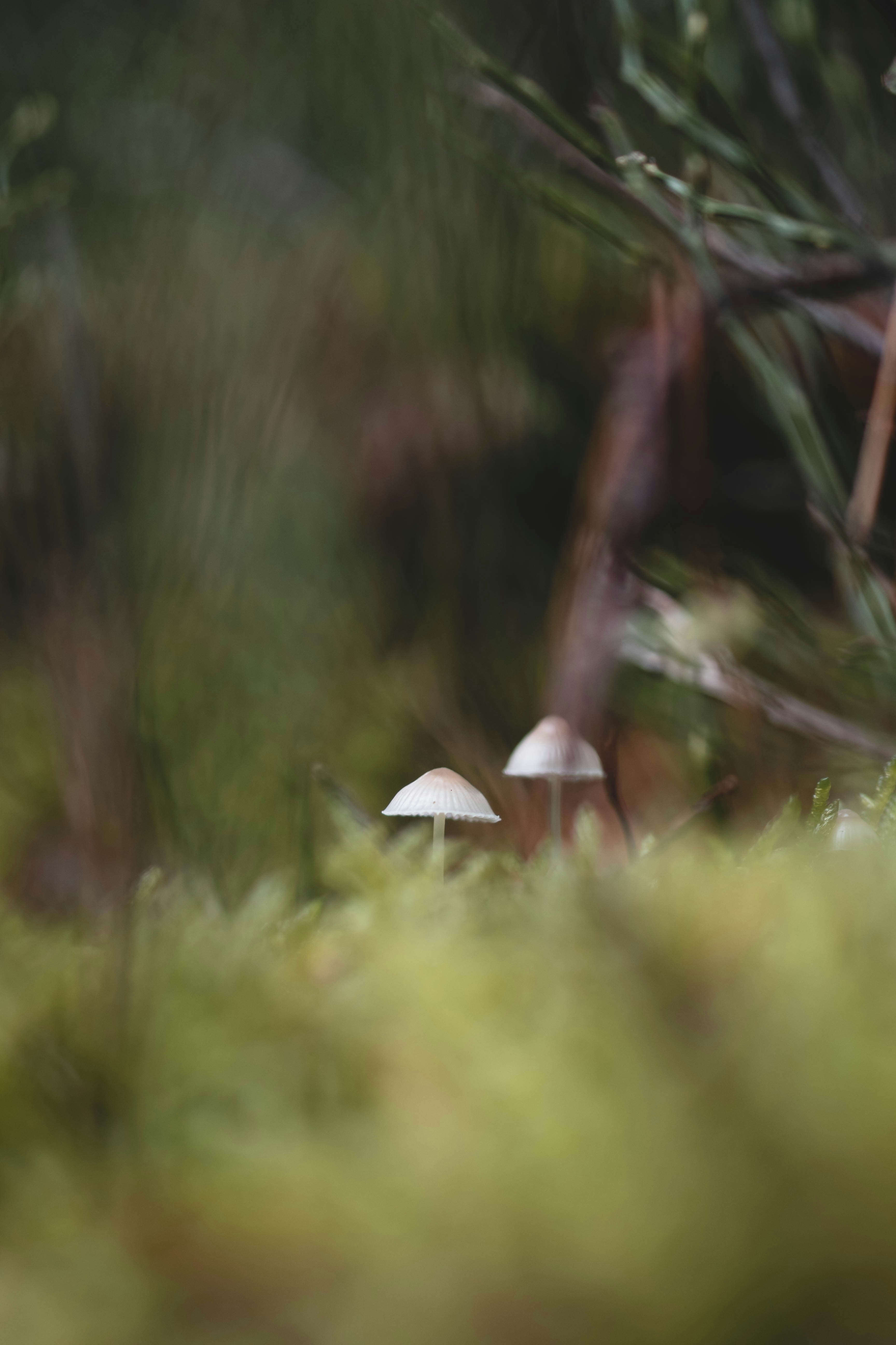 Photo by eileen_kummer