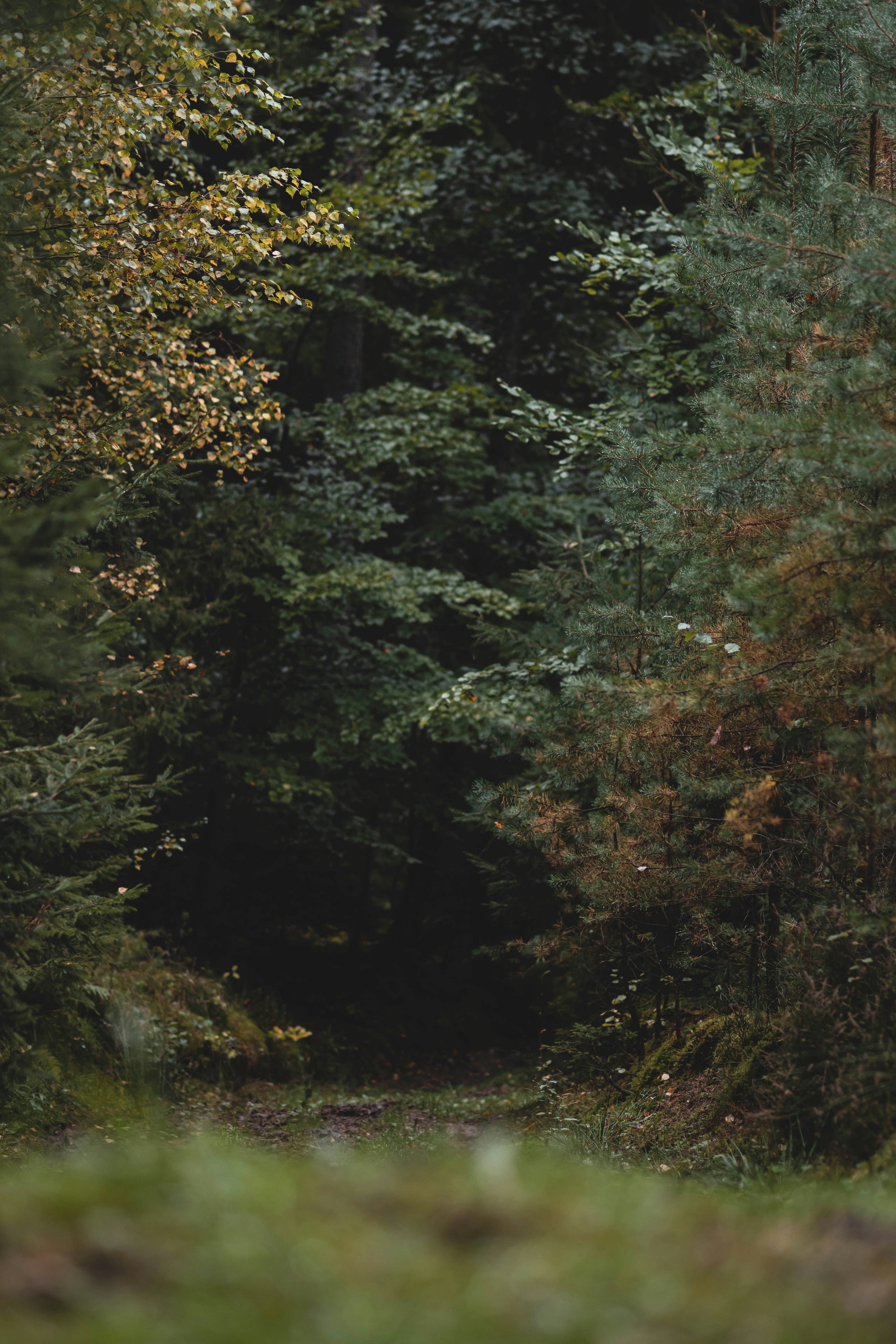 Photo by eileen_kummer