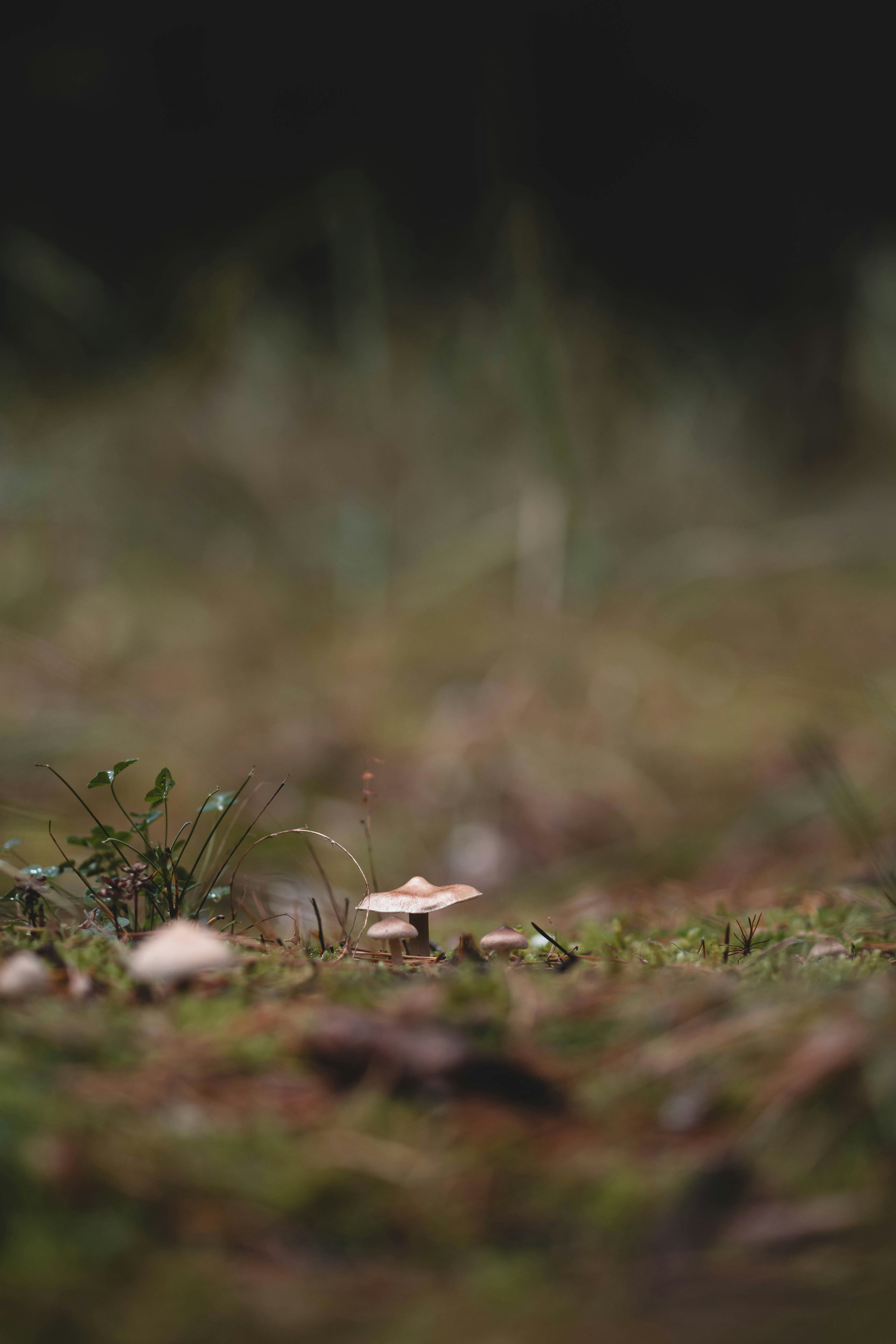 Photo by eileen_kummer