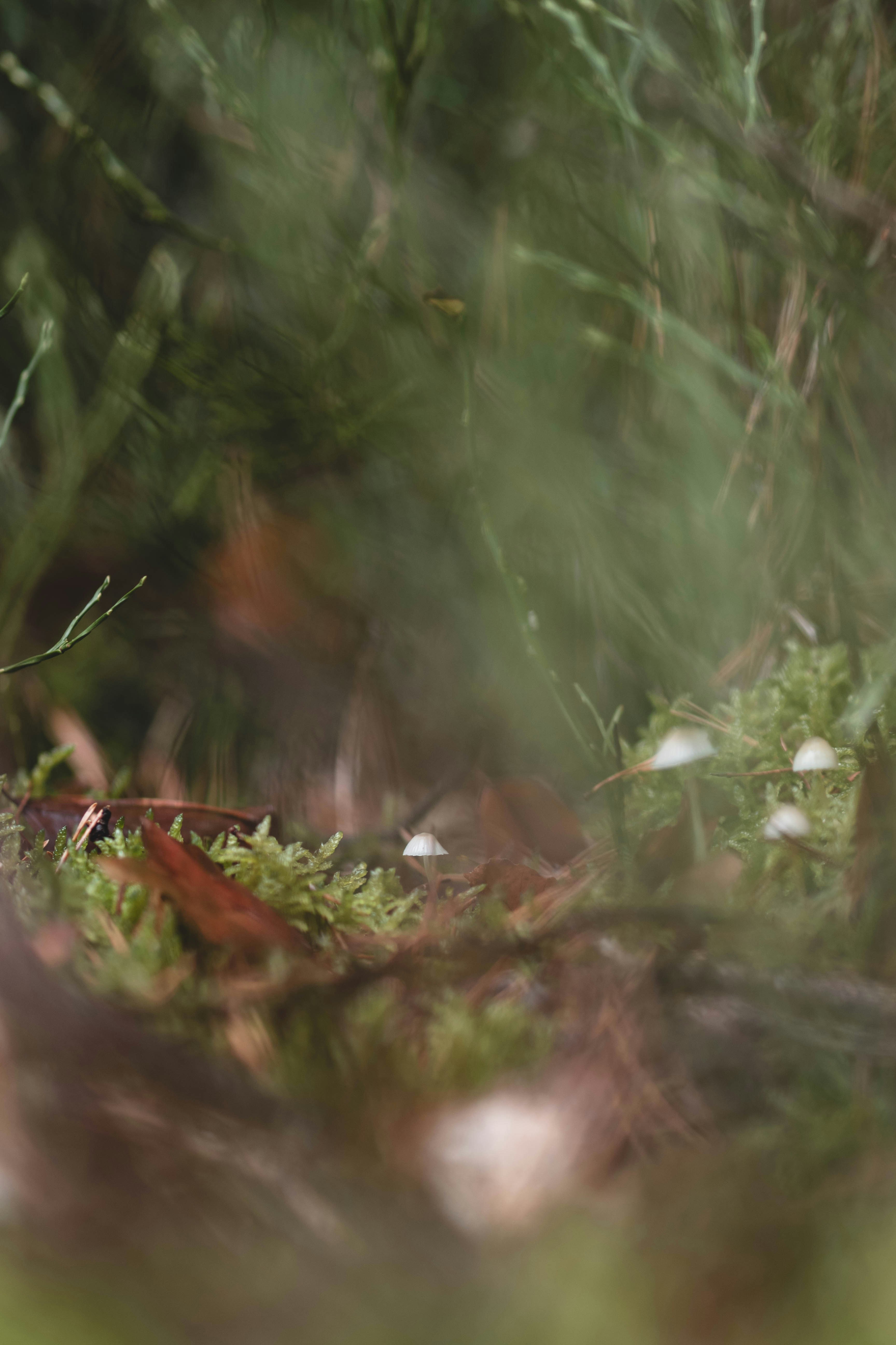 Photo by eileen_kummer