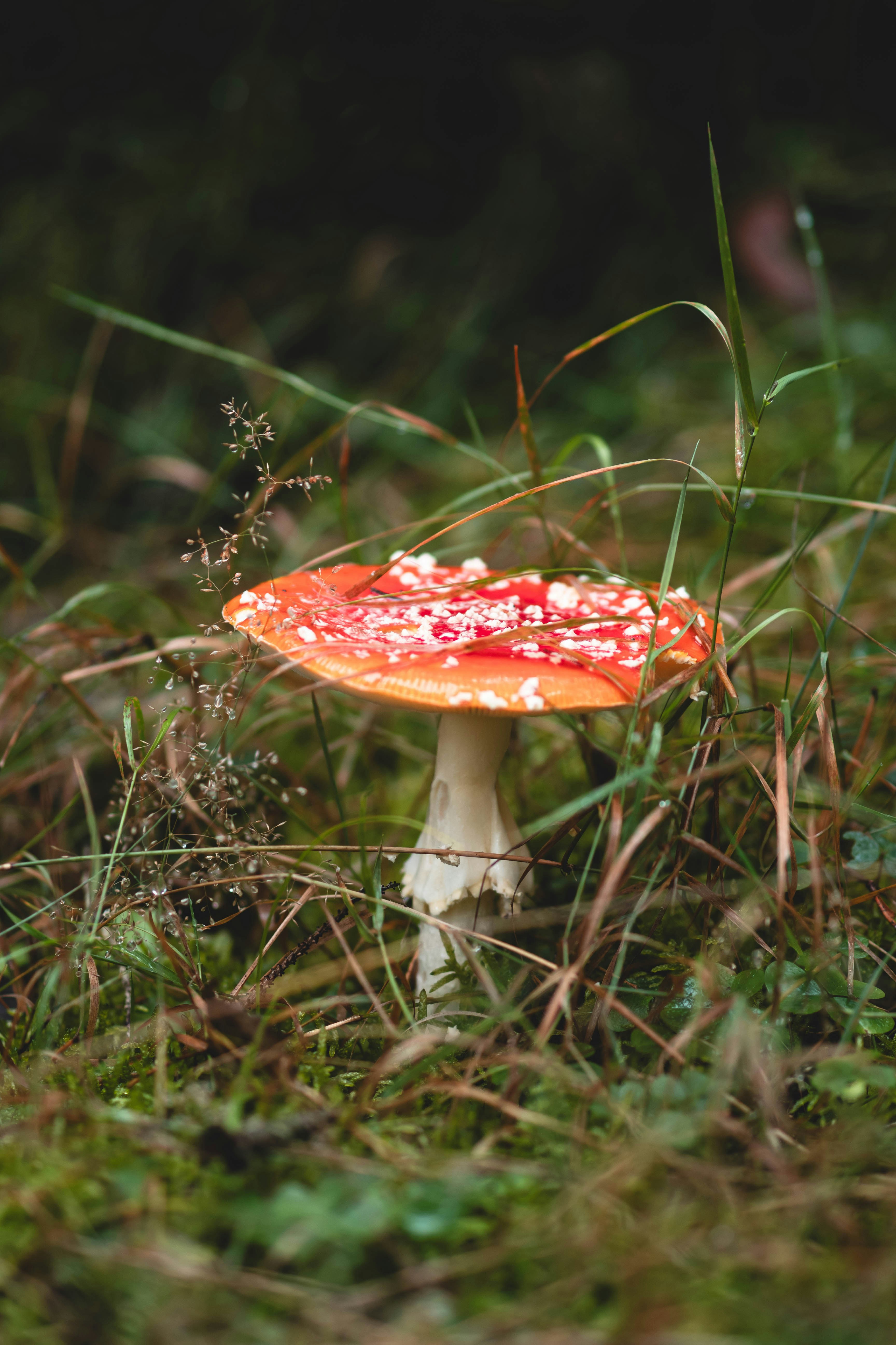 Photo by eileen_kummer