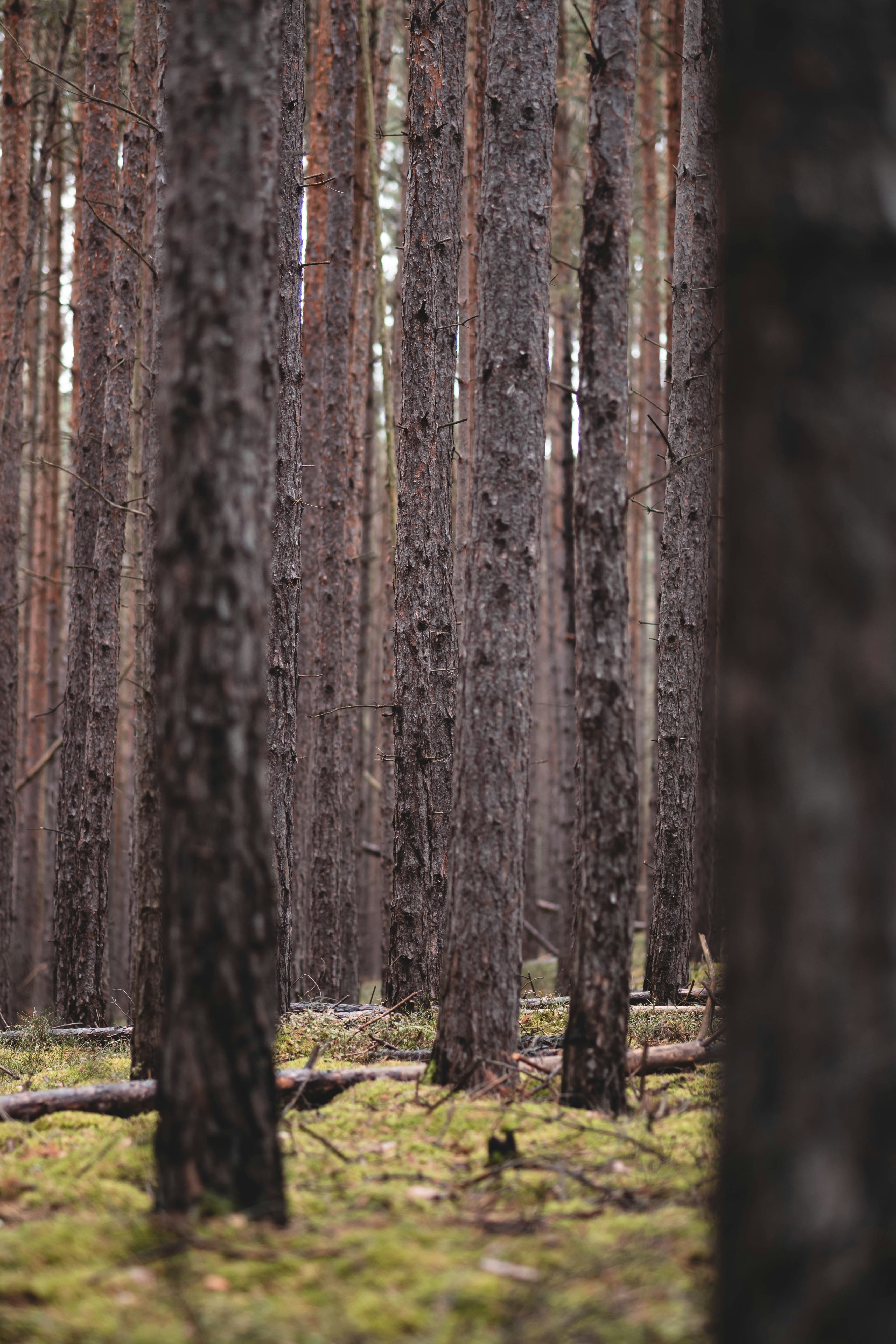 Photo by eileen_kummer