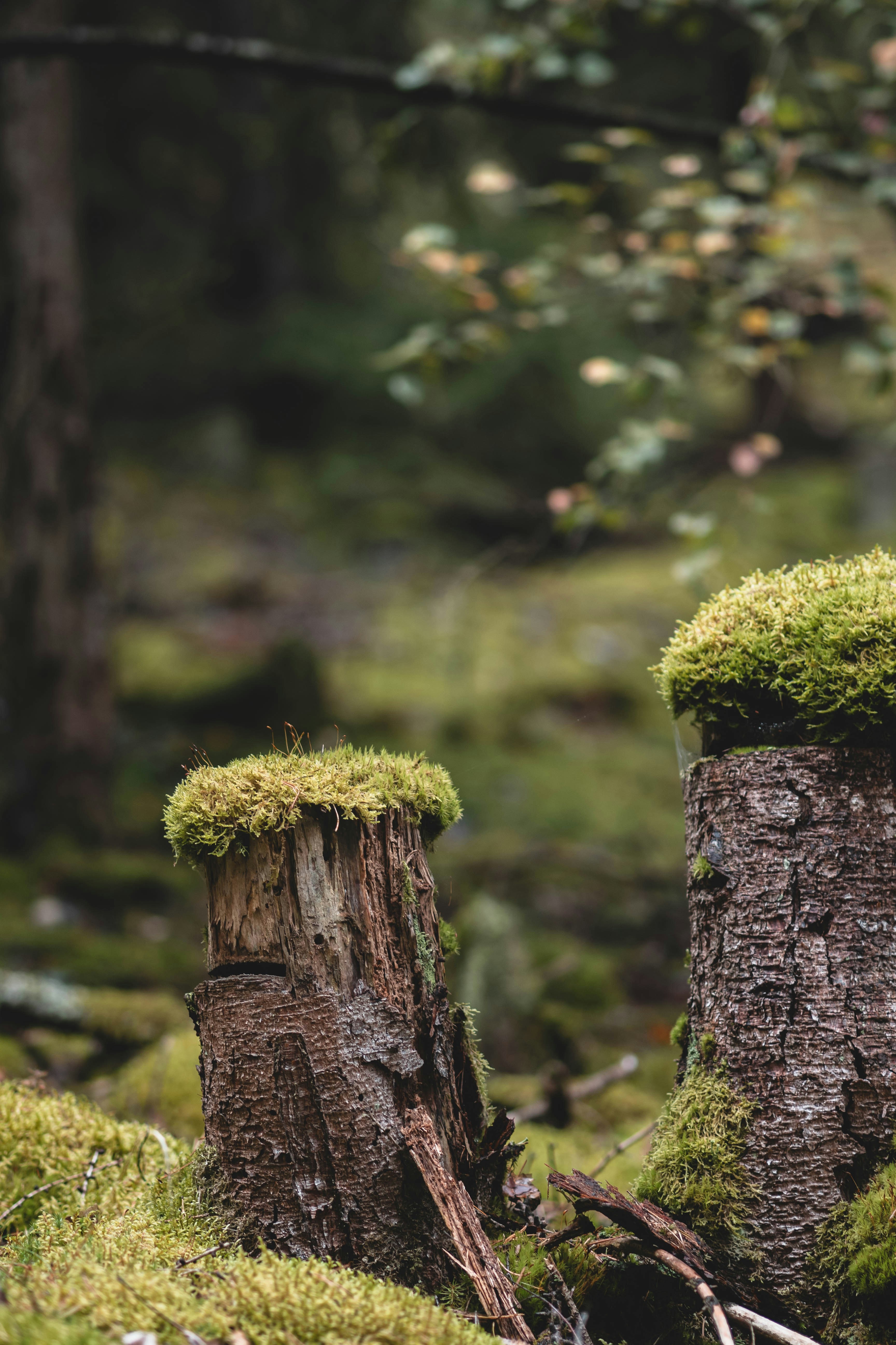 Photo by eileen_kummer