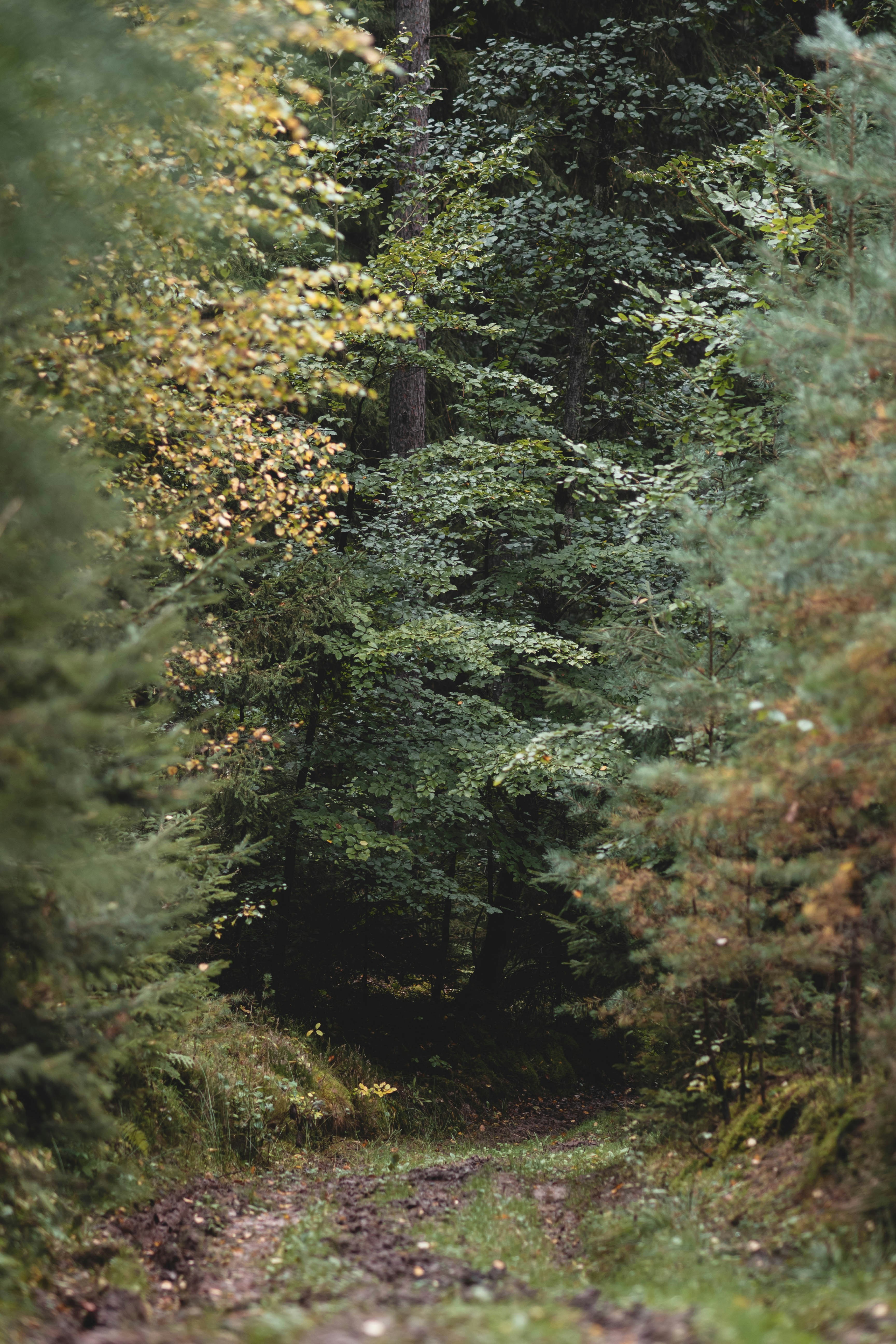 Photo by eileen_kummer