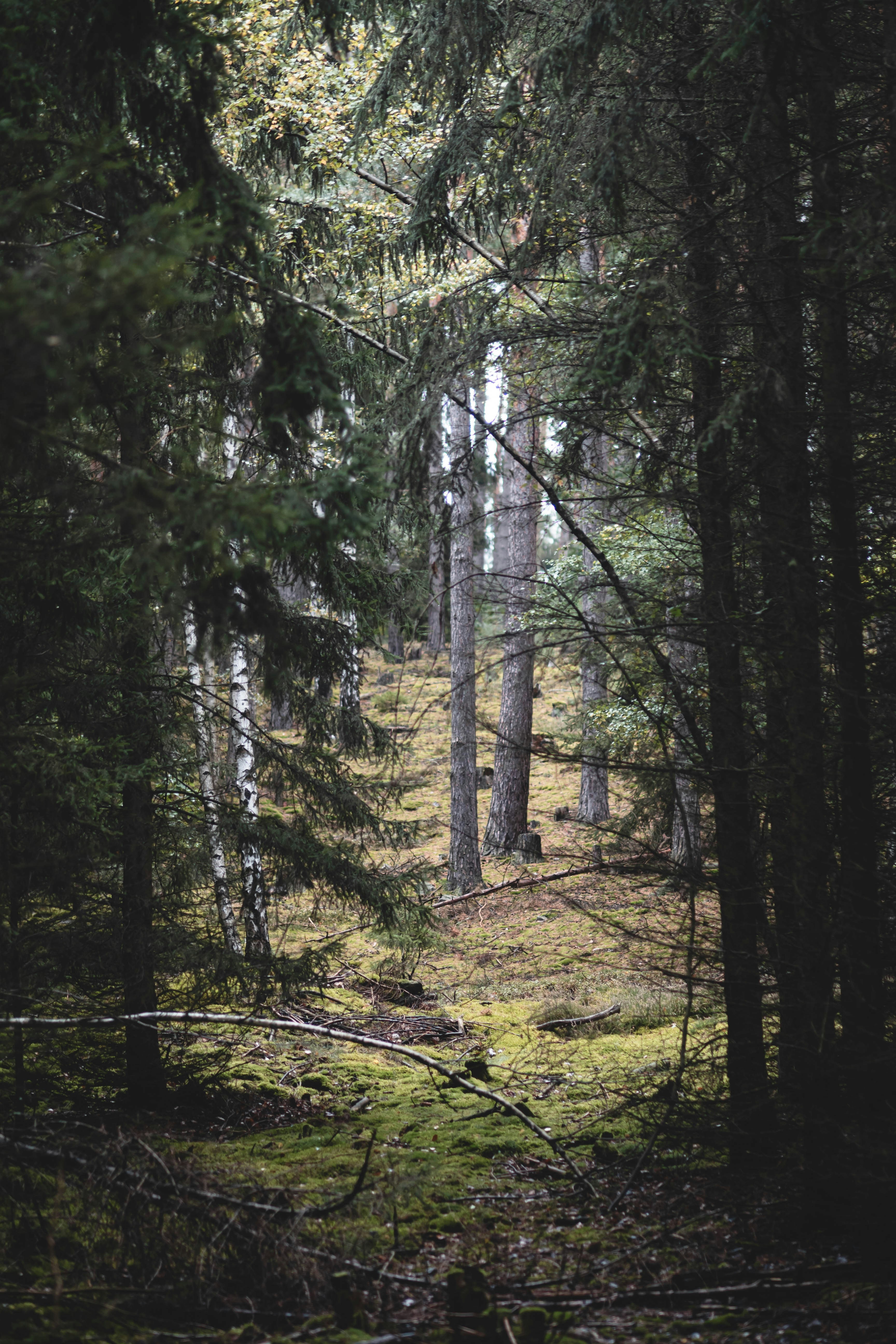 Photo by eileen_kummer