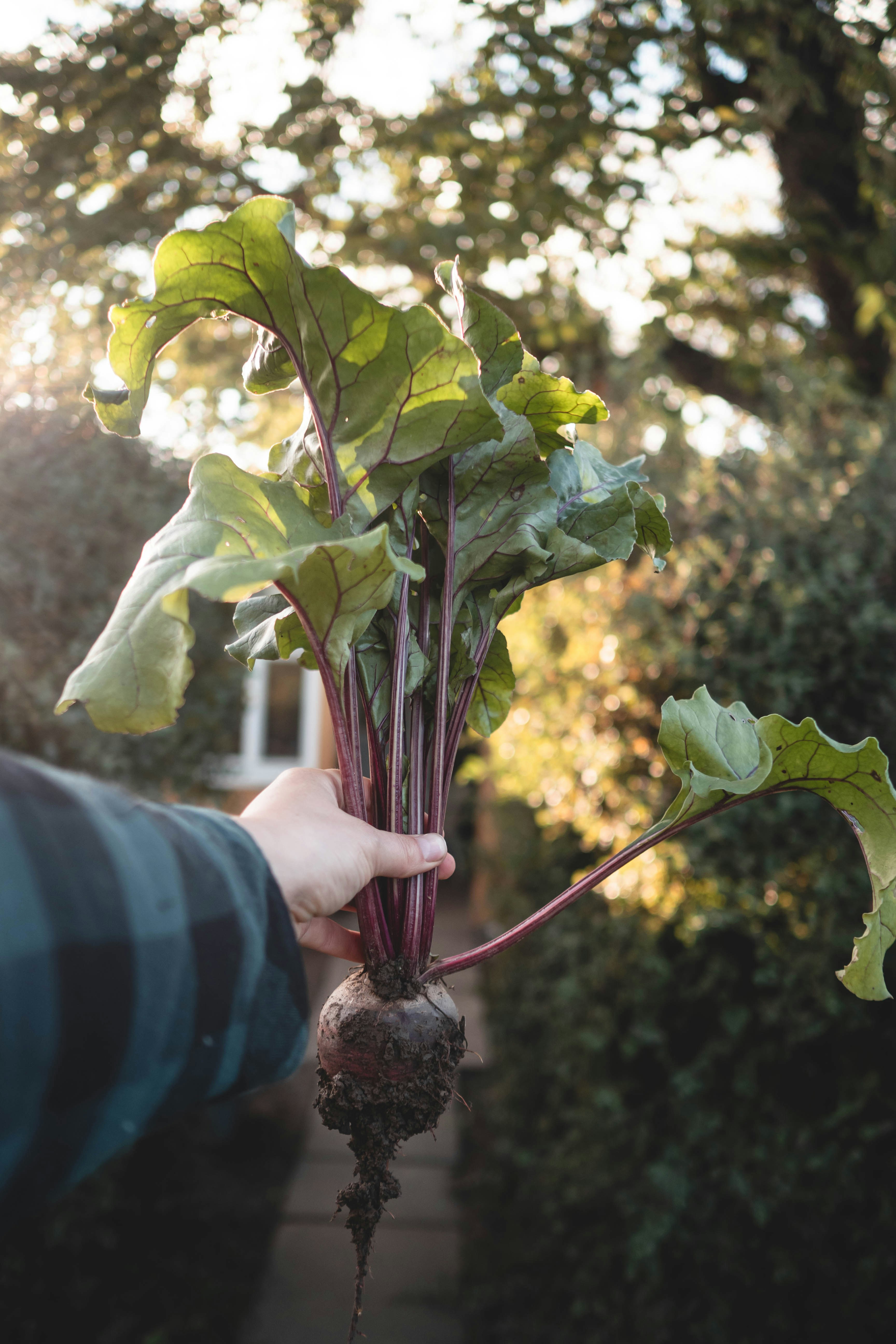 Photo by eileen_kummer