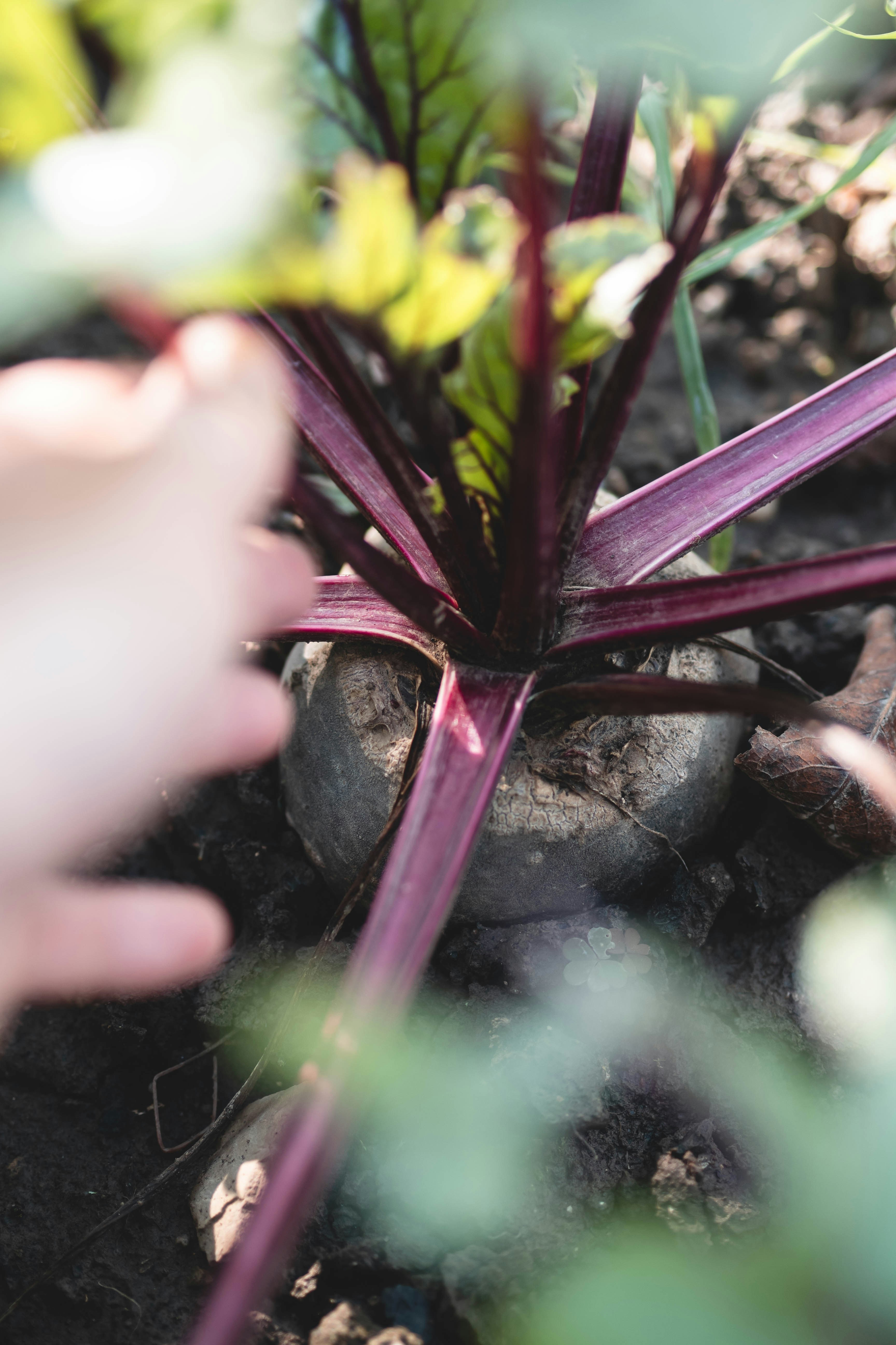 Photo by eileen_kummer