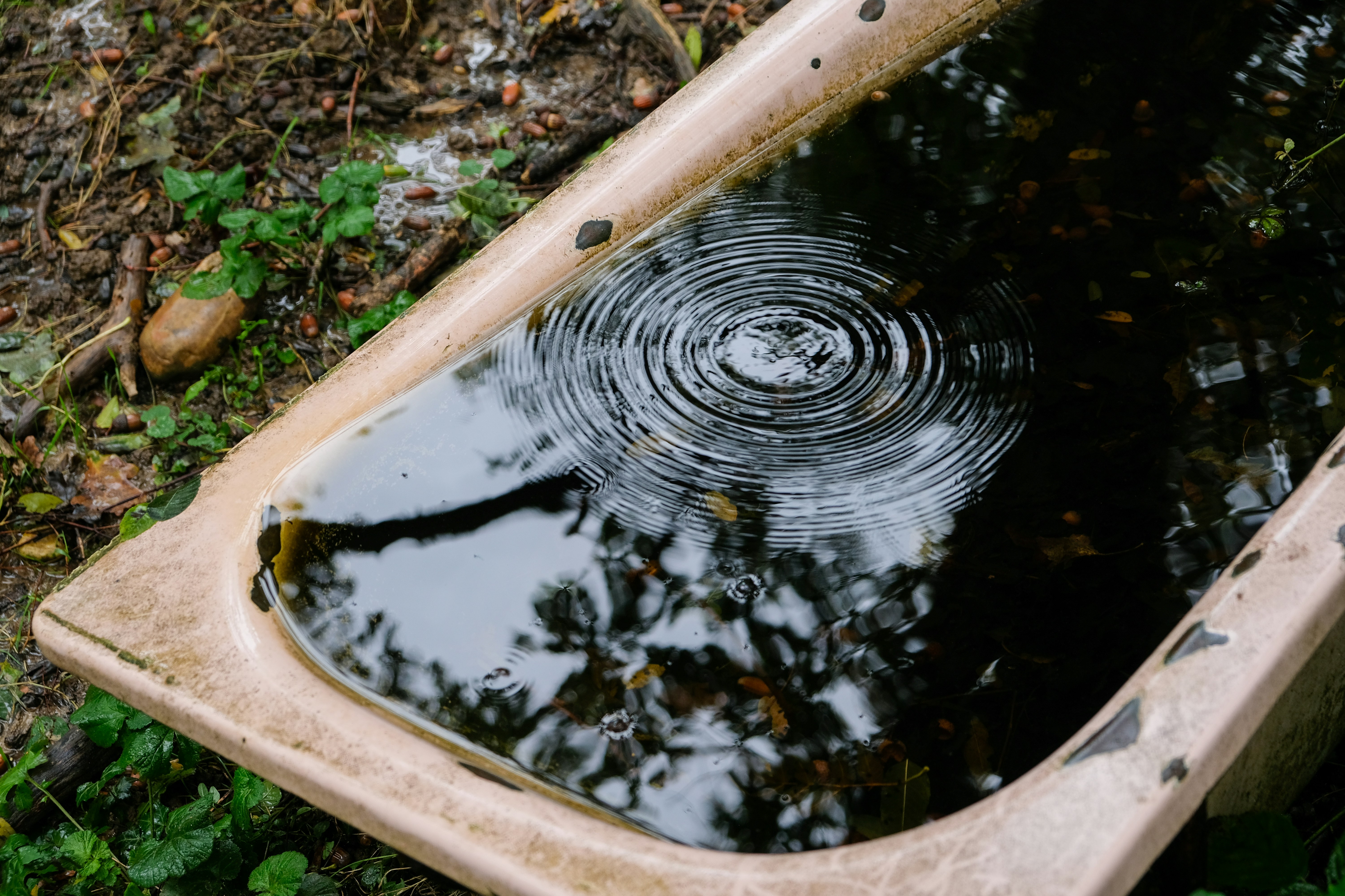 A wooden tray filled with water sitting on top of a grass covered field