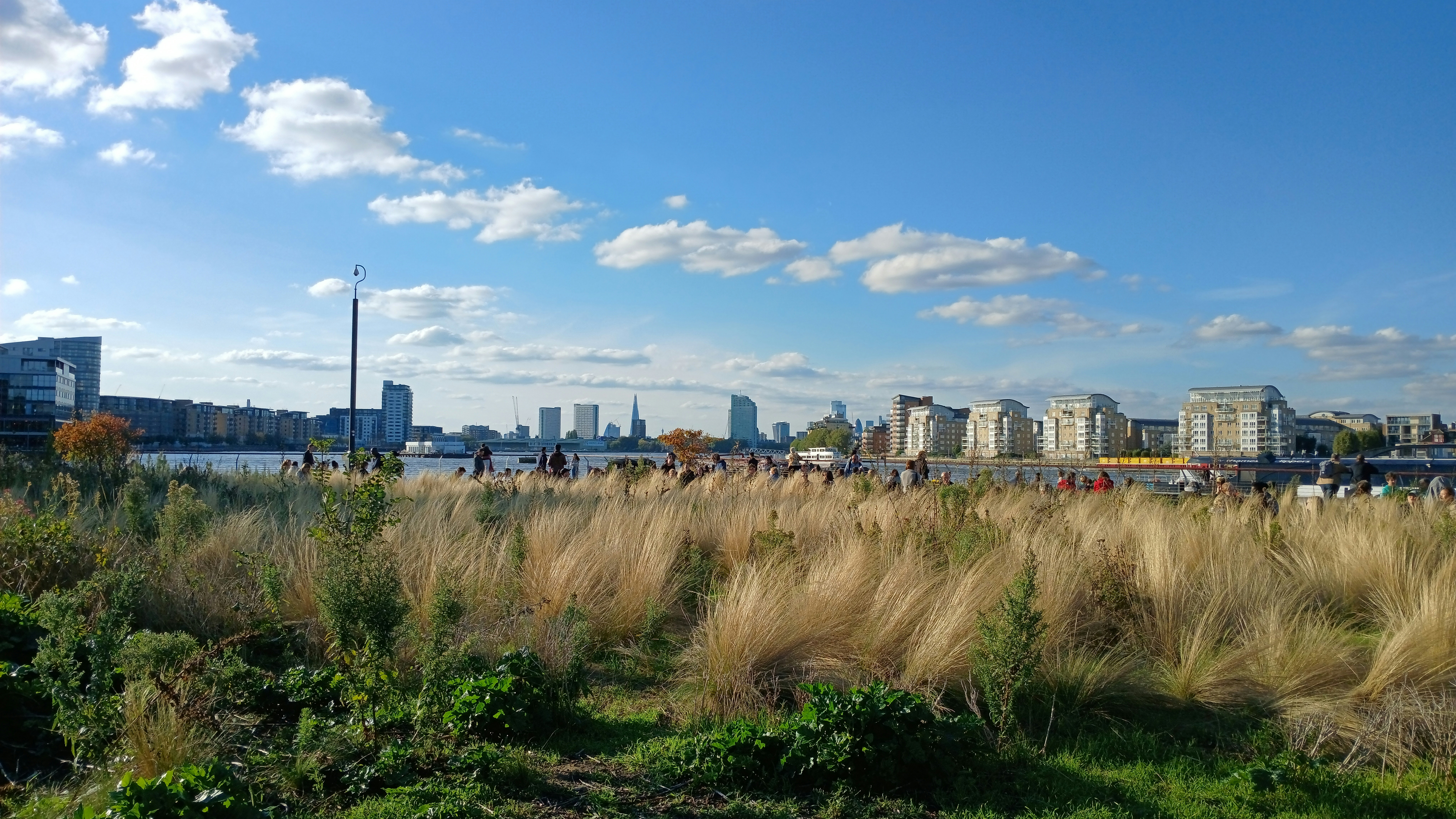 Toon Ylandplantsoen