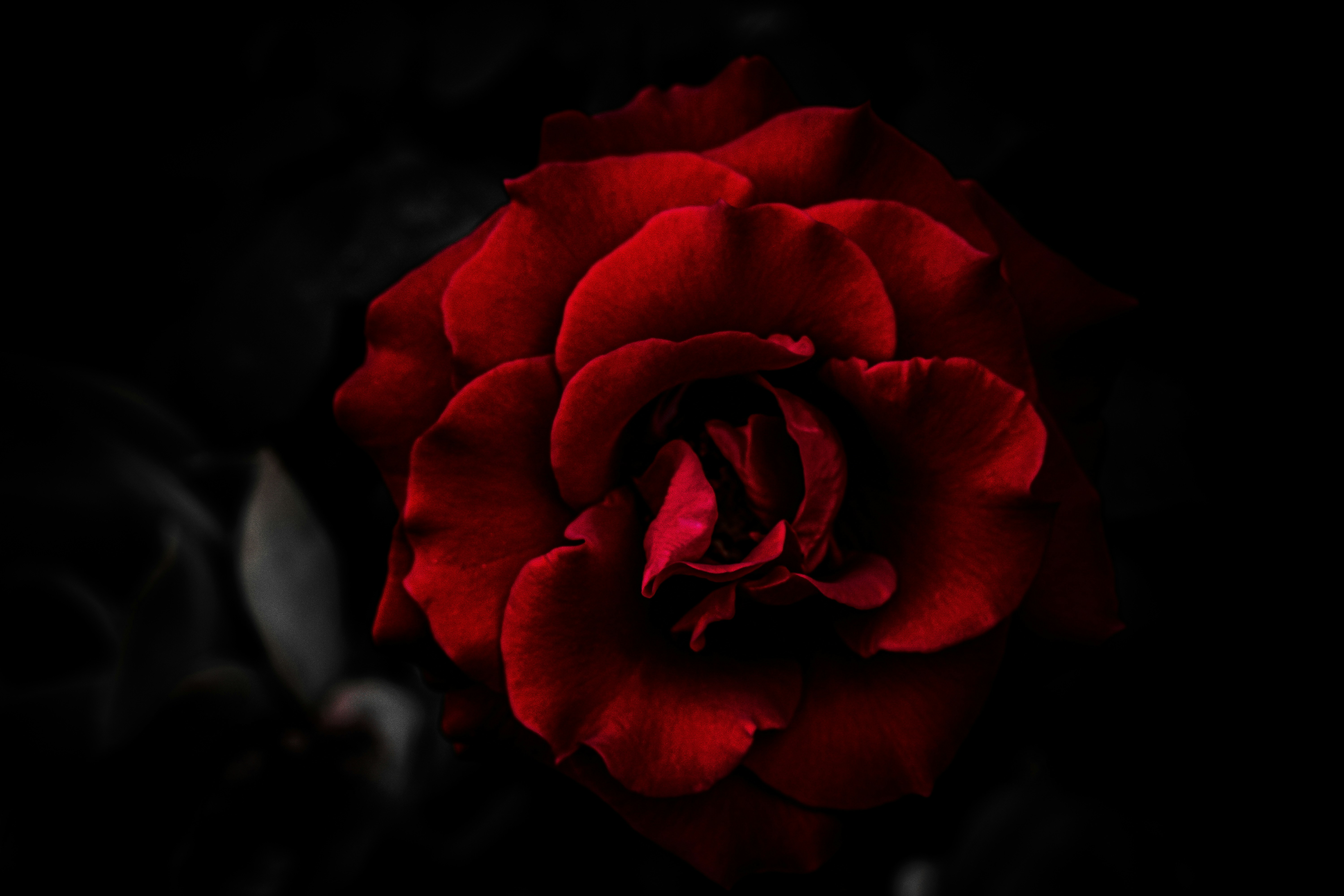 Quel personnage de Vampire Diaries es-tu ? (Test Ultime)