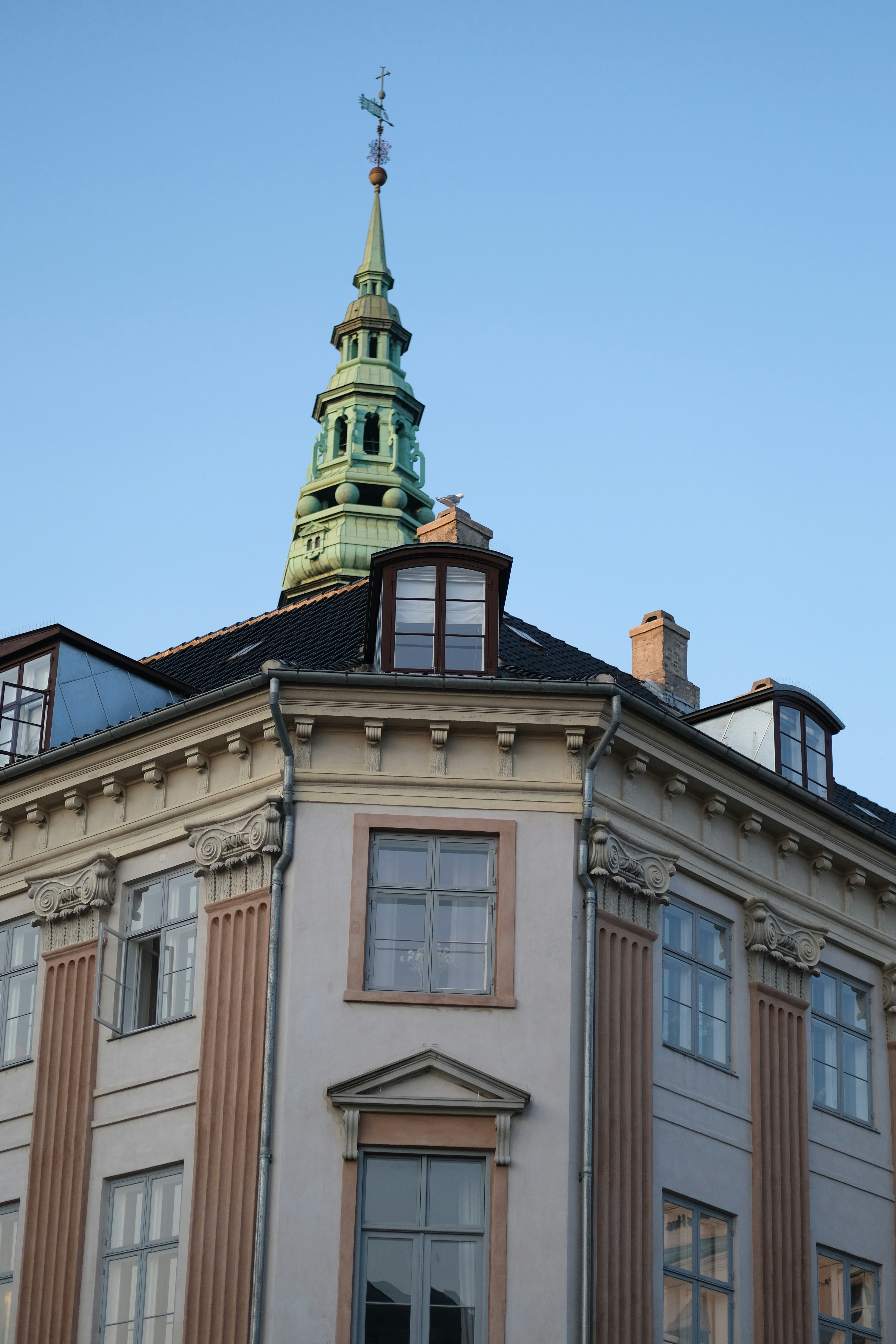 Photo by sara_thaundrdawg