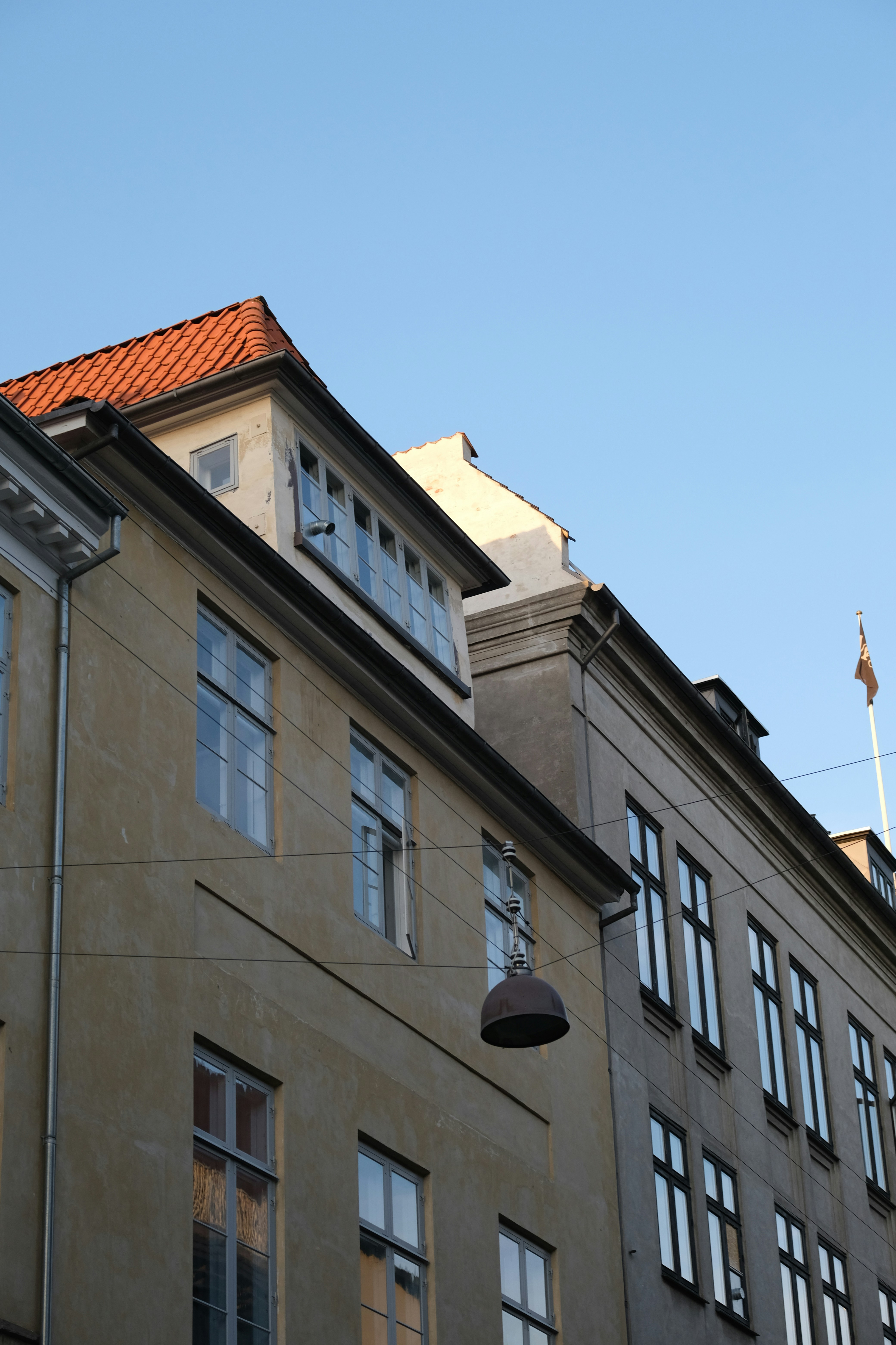 Photo by sara_thaundrdawg