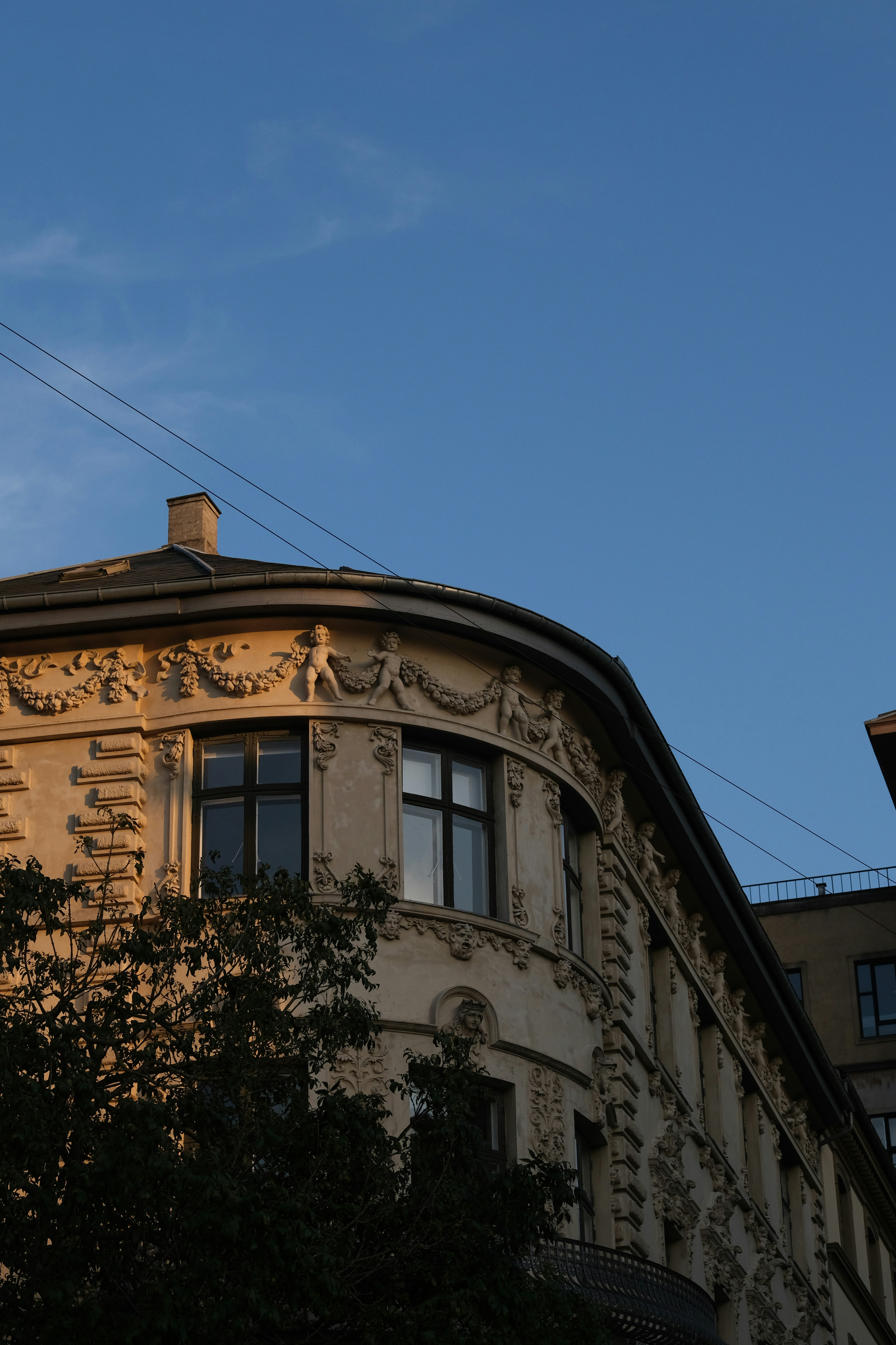 Photo by sara_thaundrdawg