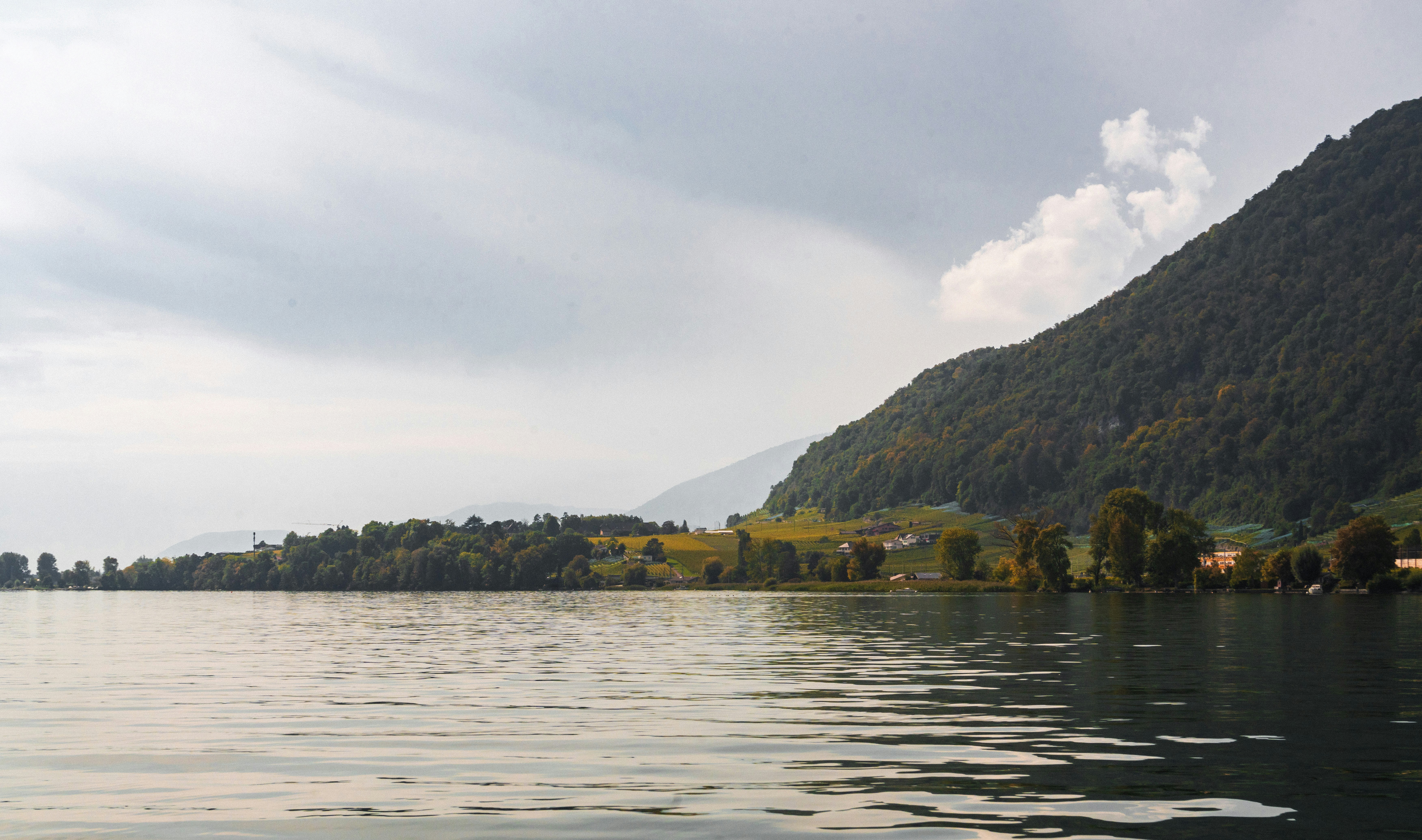 Photo by annastampfli