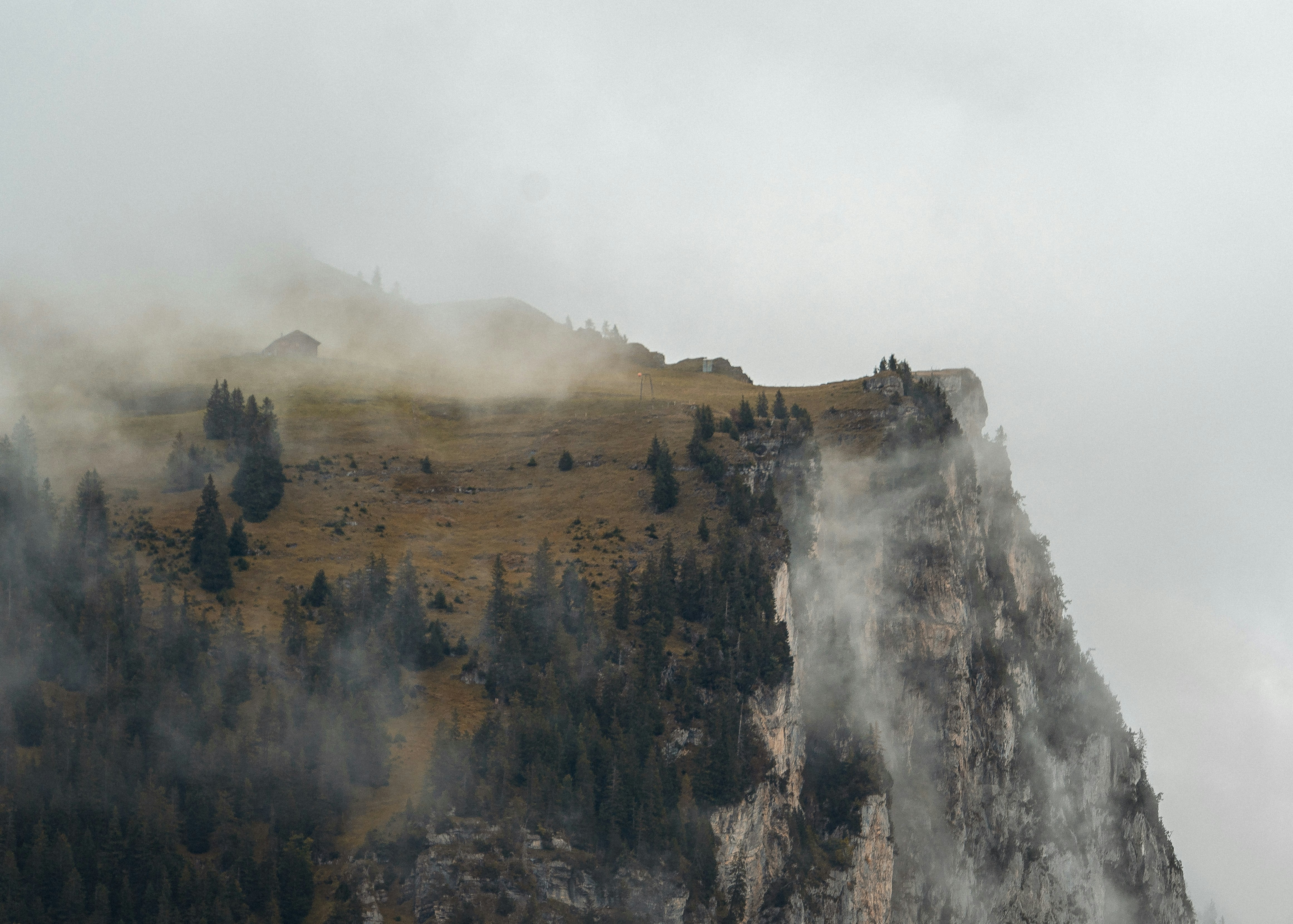 Photo by annastampfli