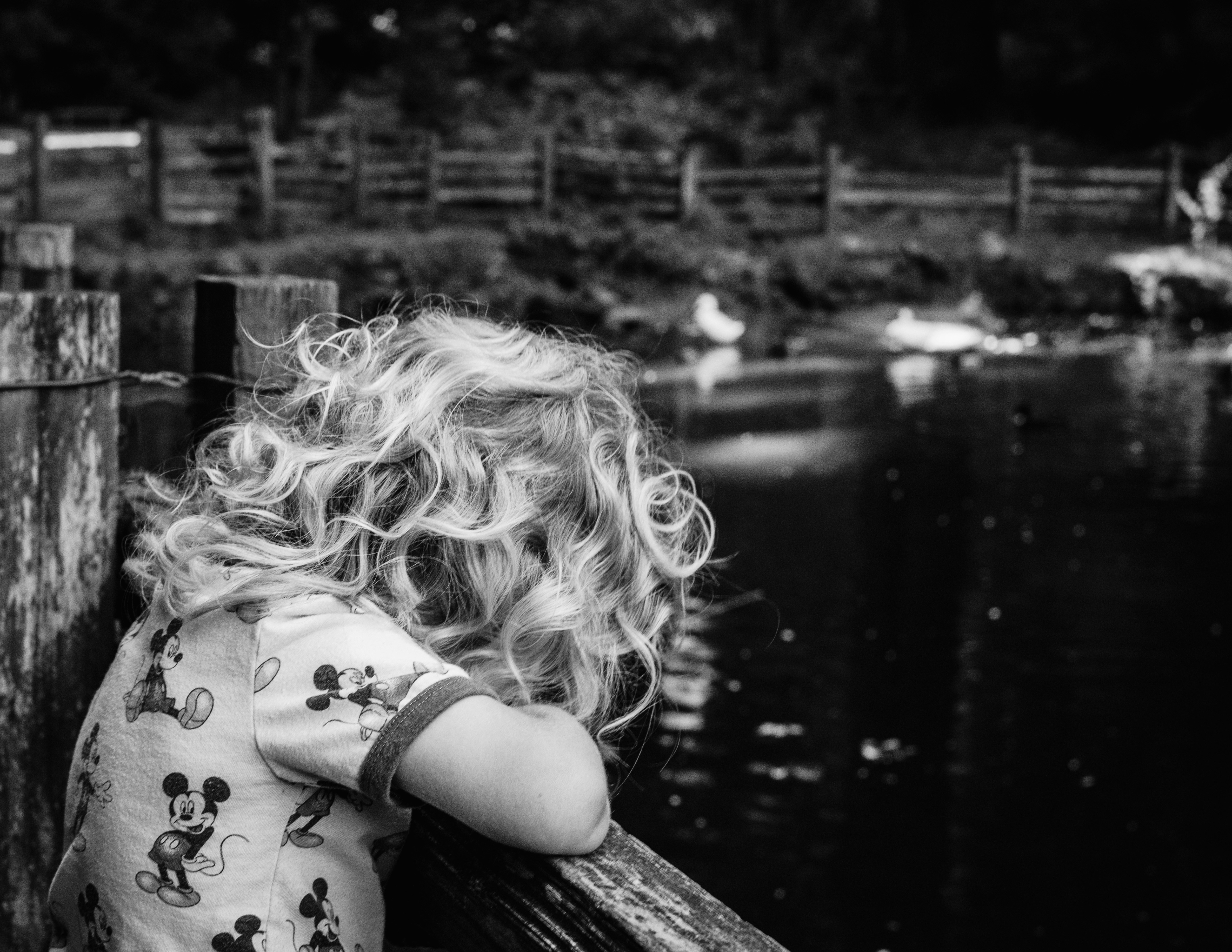 Photo by avillaalegria