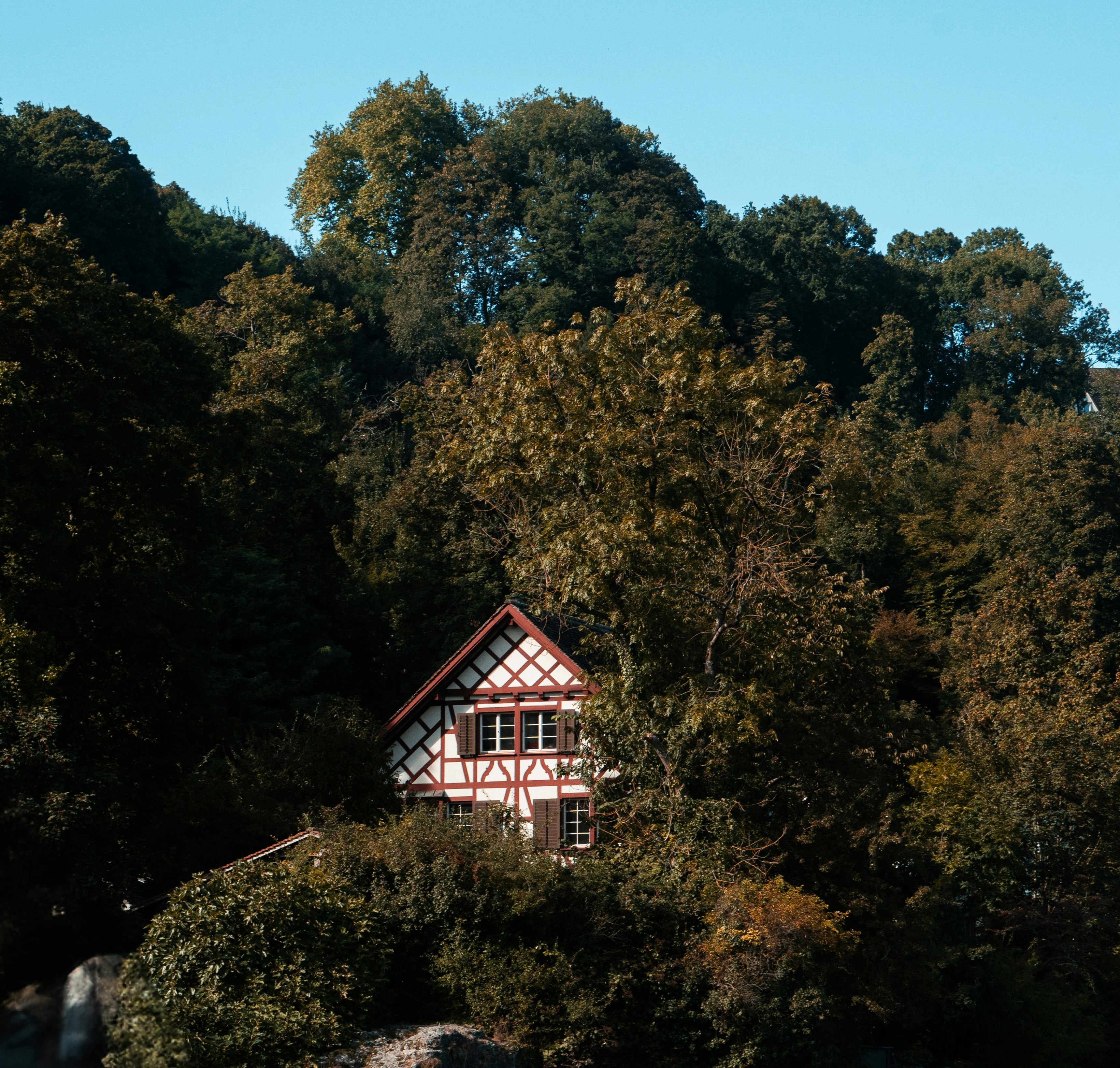 Photo by annastampfli