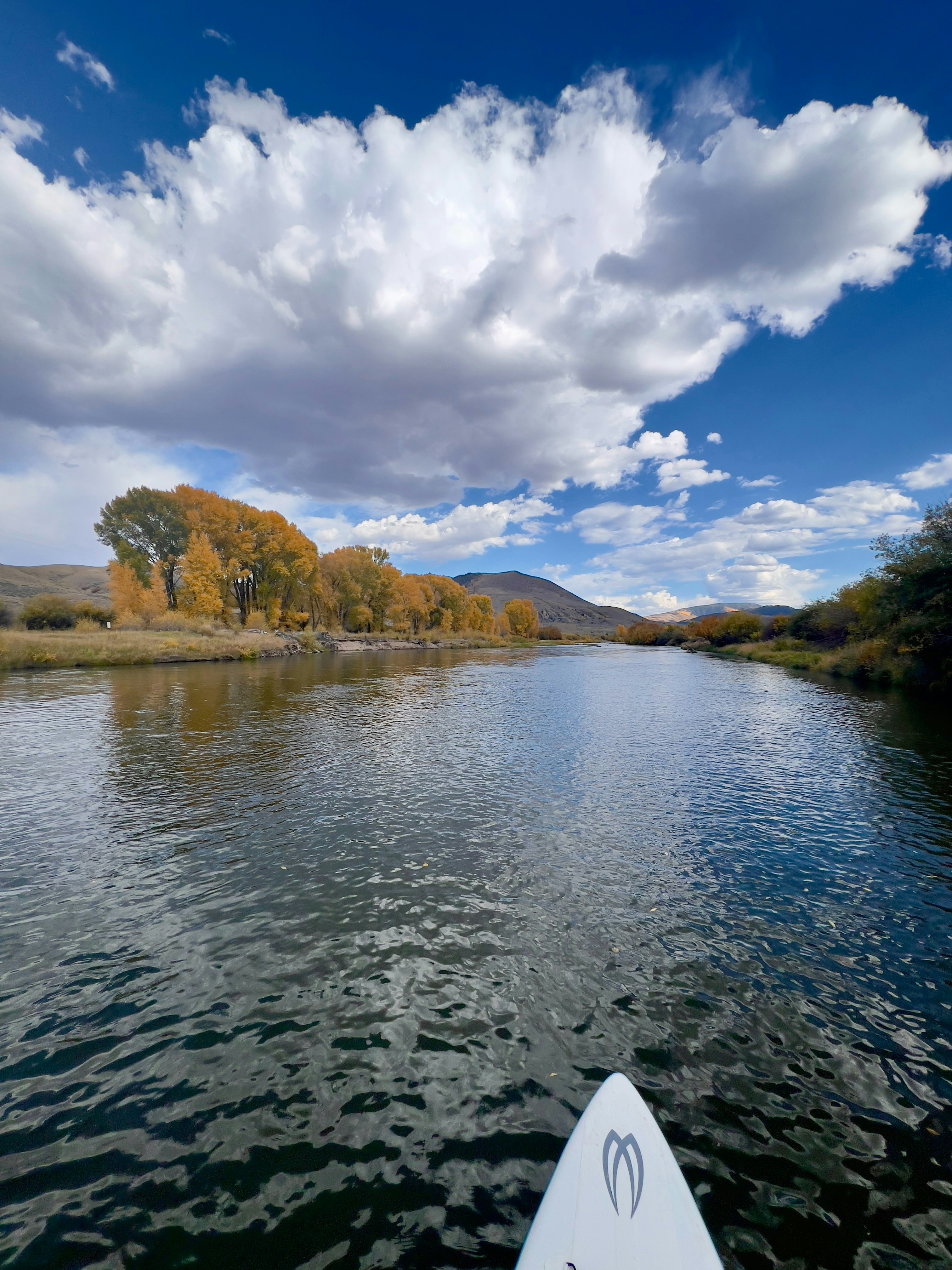 A view of a body of water from a boat