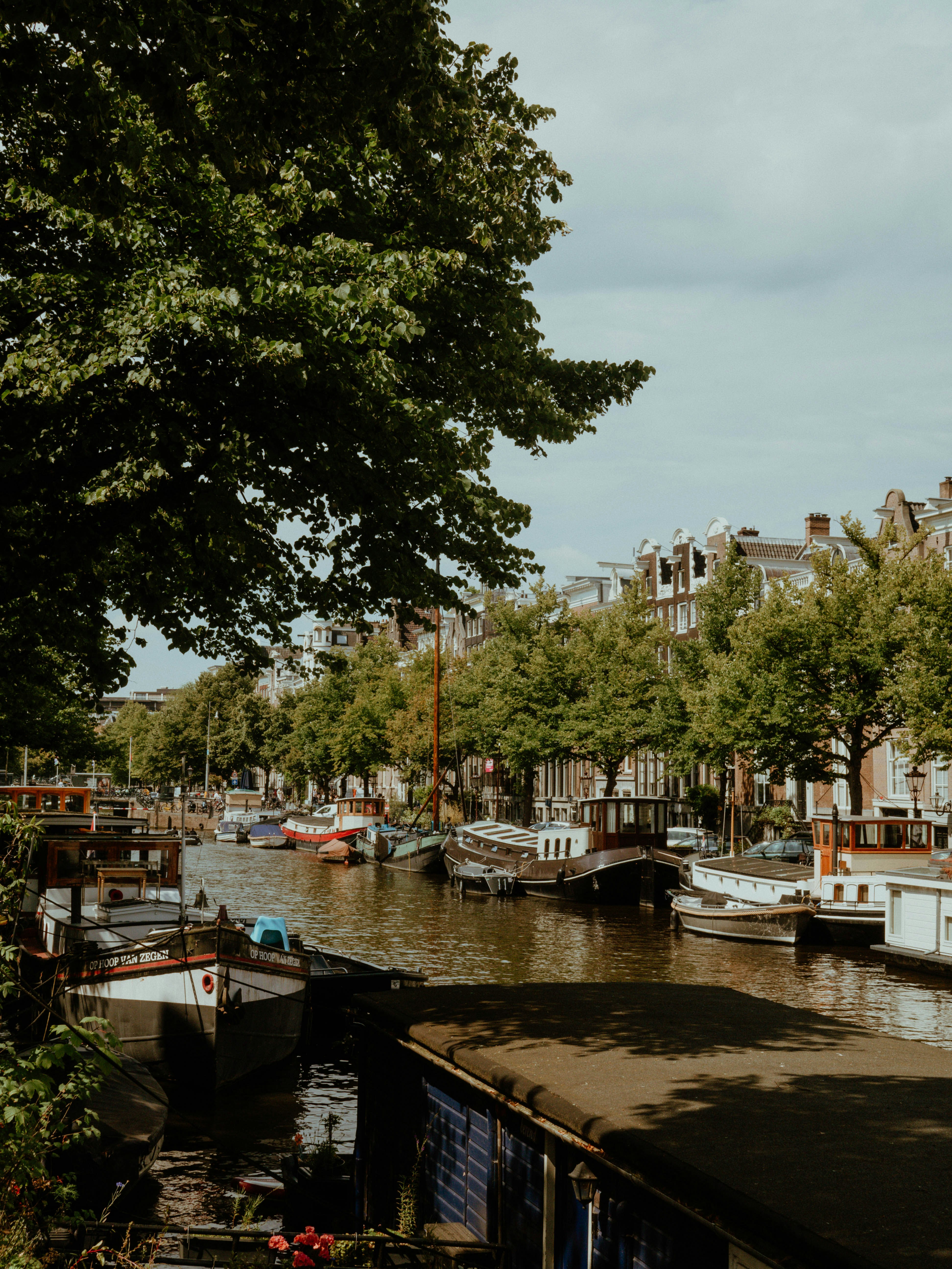 Photo by adigital_nomad