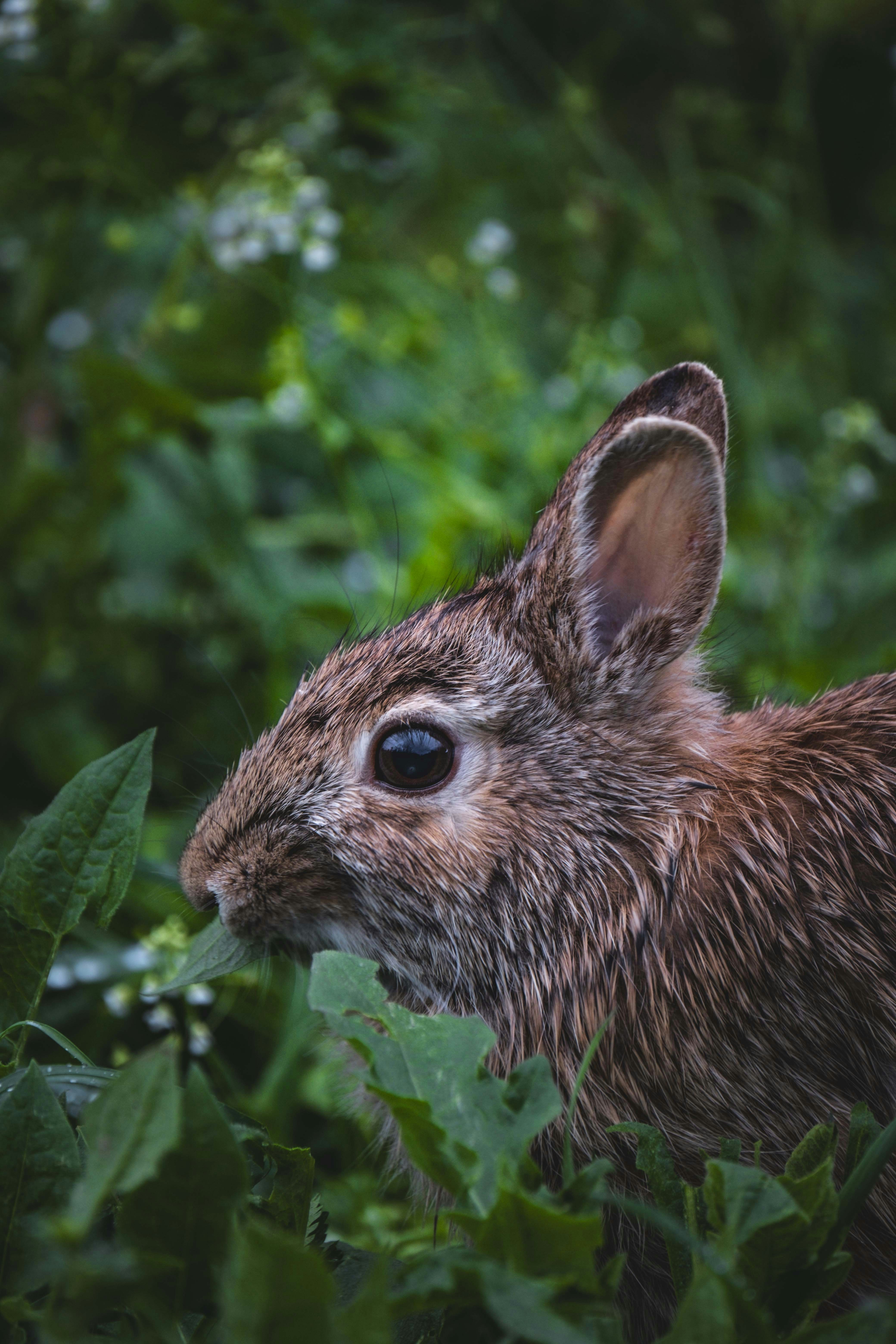 Photo by francesco_ungaro