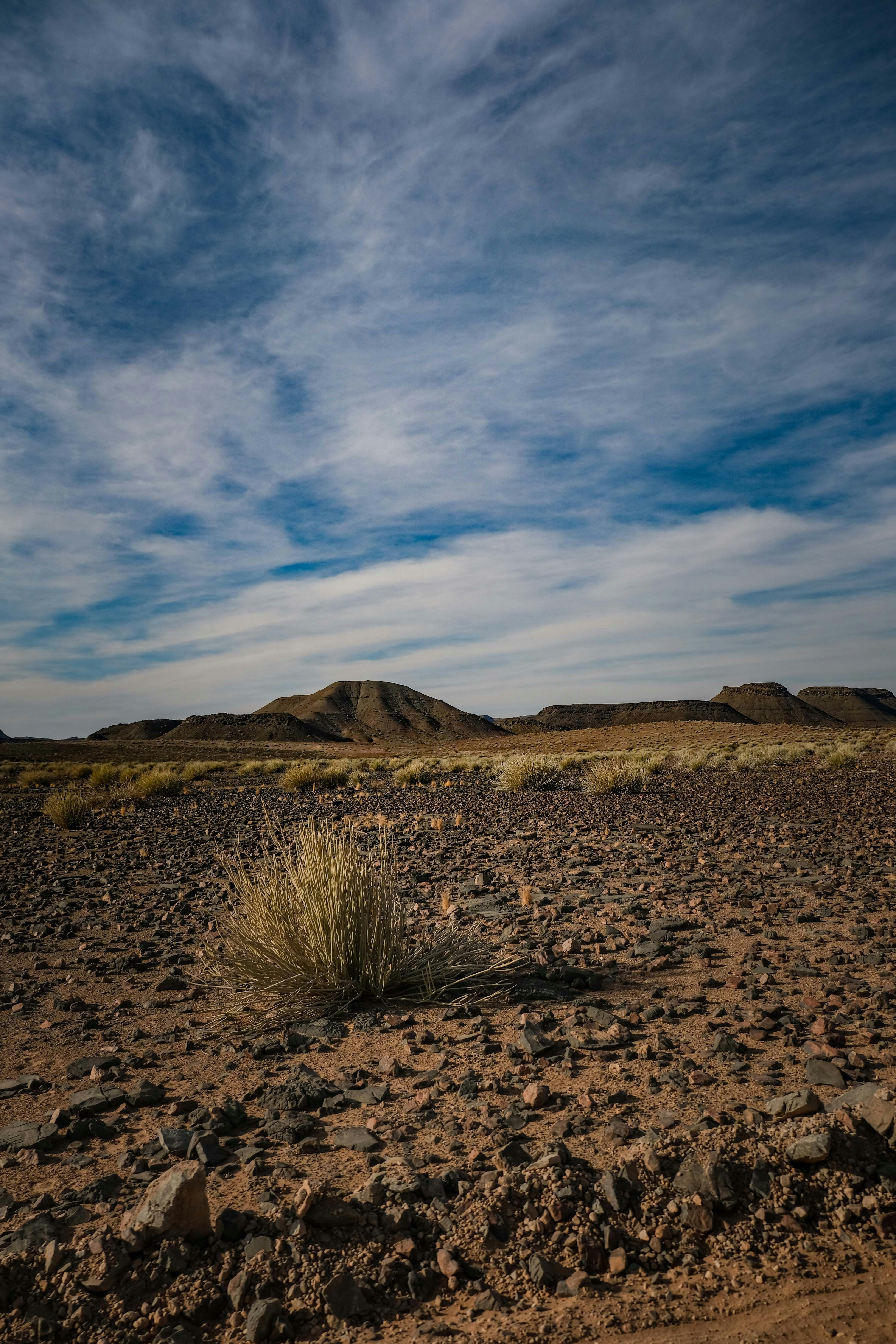 Photo by francesco_ungaro