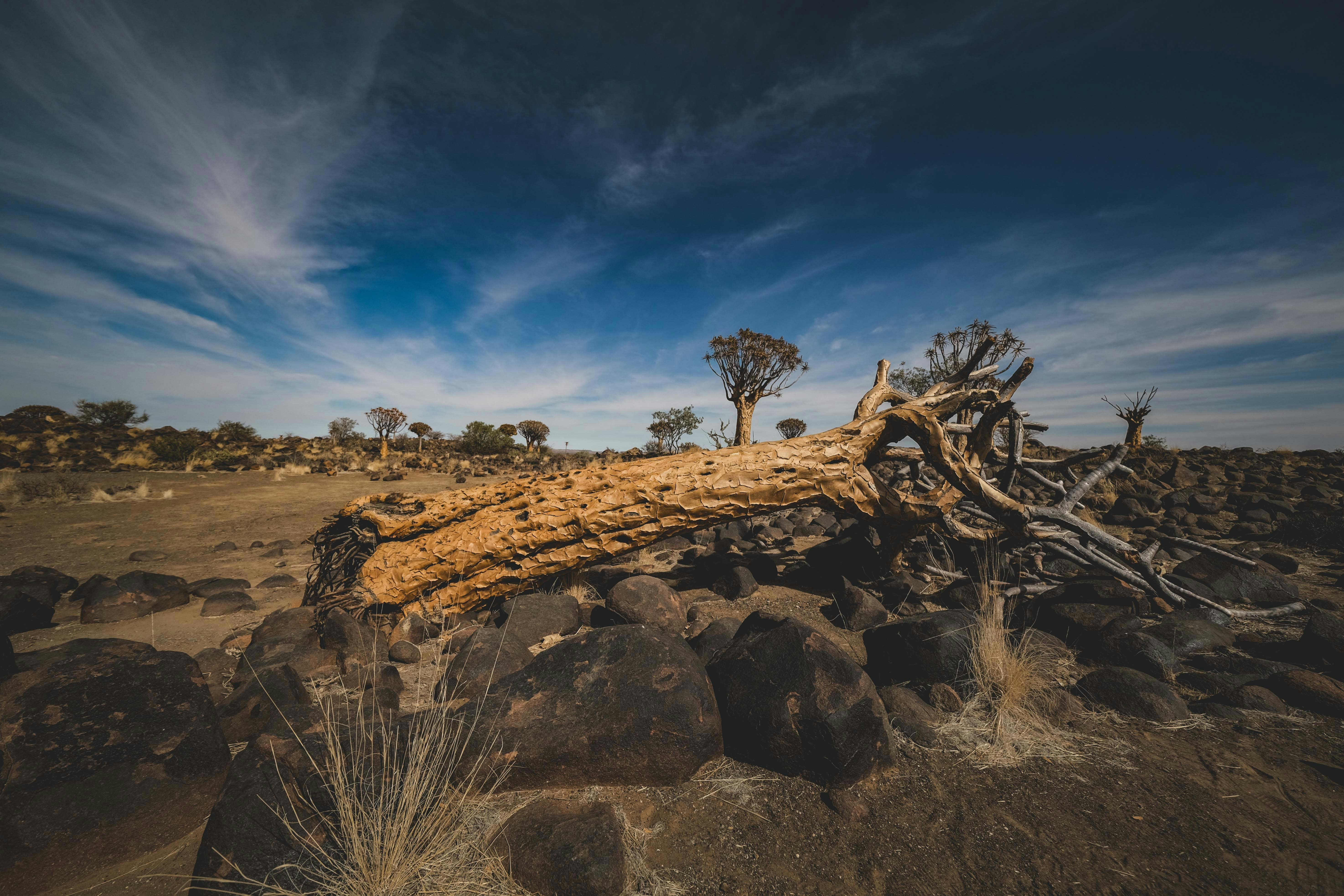 Photo by francesco_ungaro