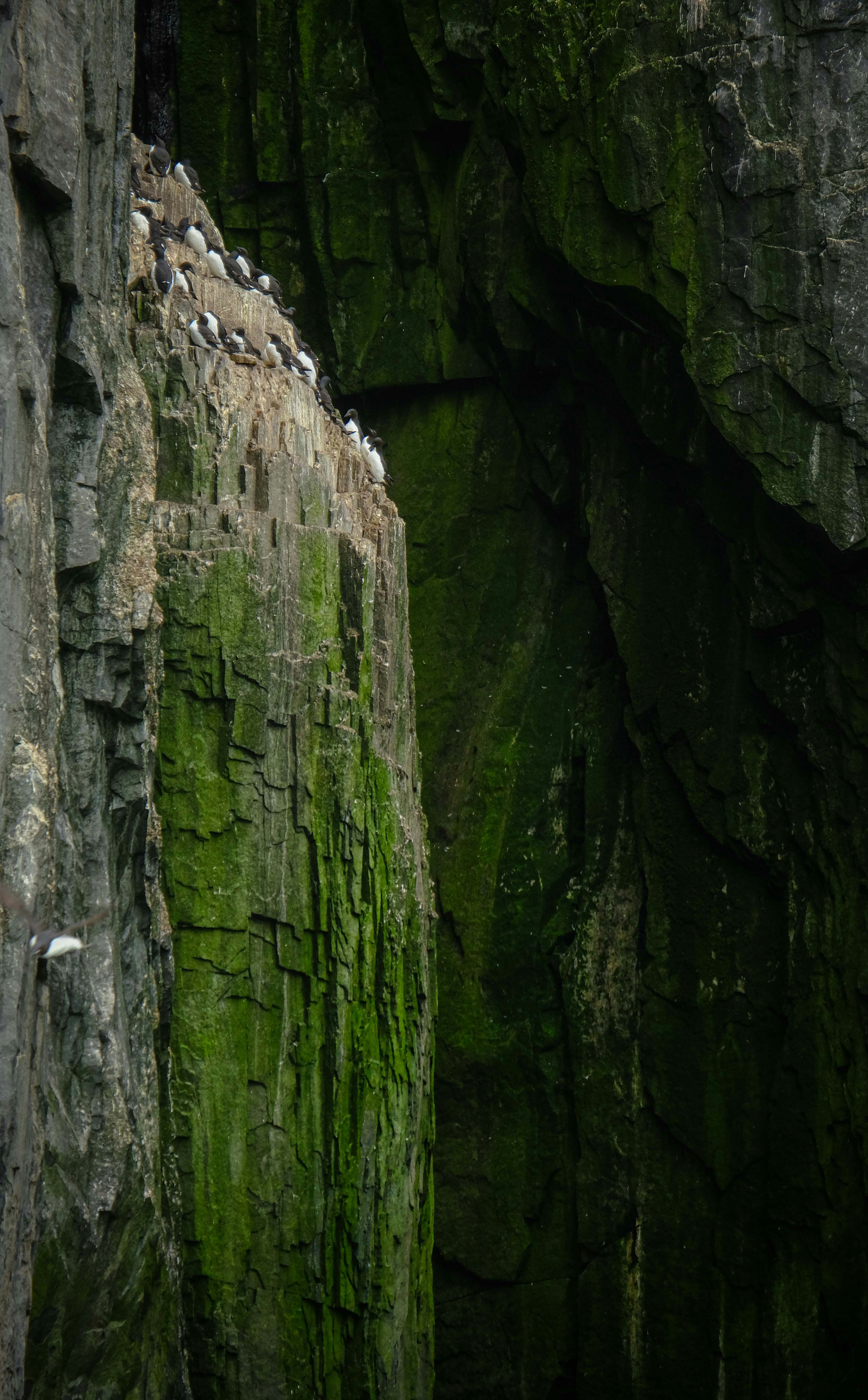 Photo by francesco_ungaro