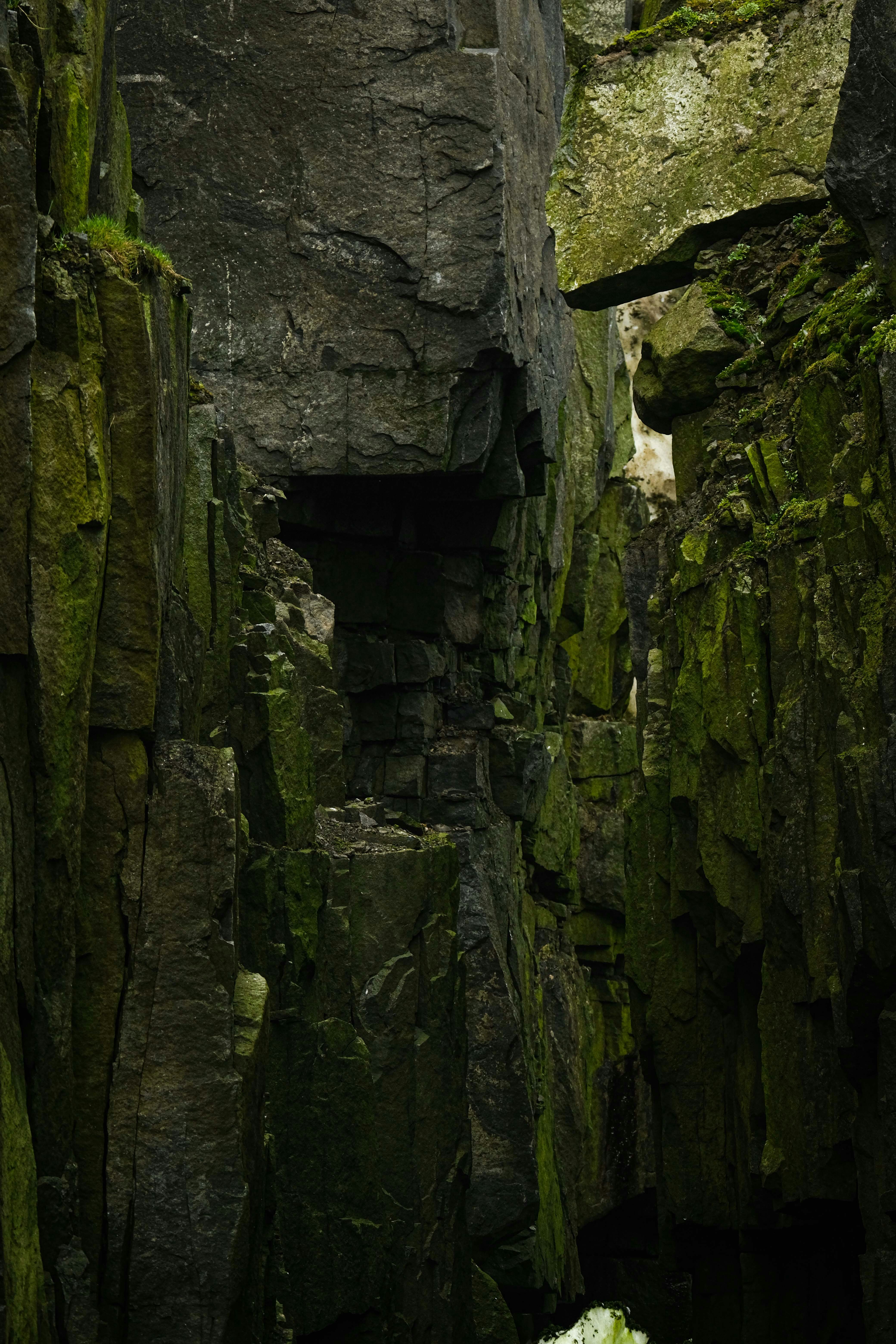 Photo by francesco_ungaro