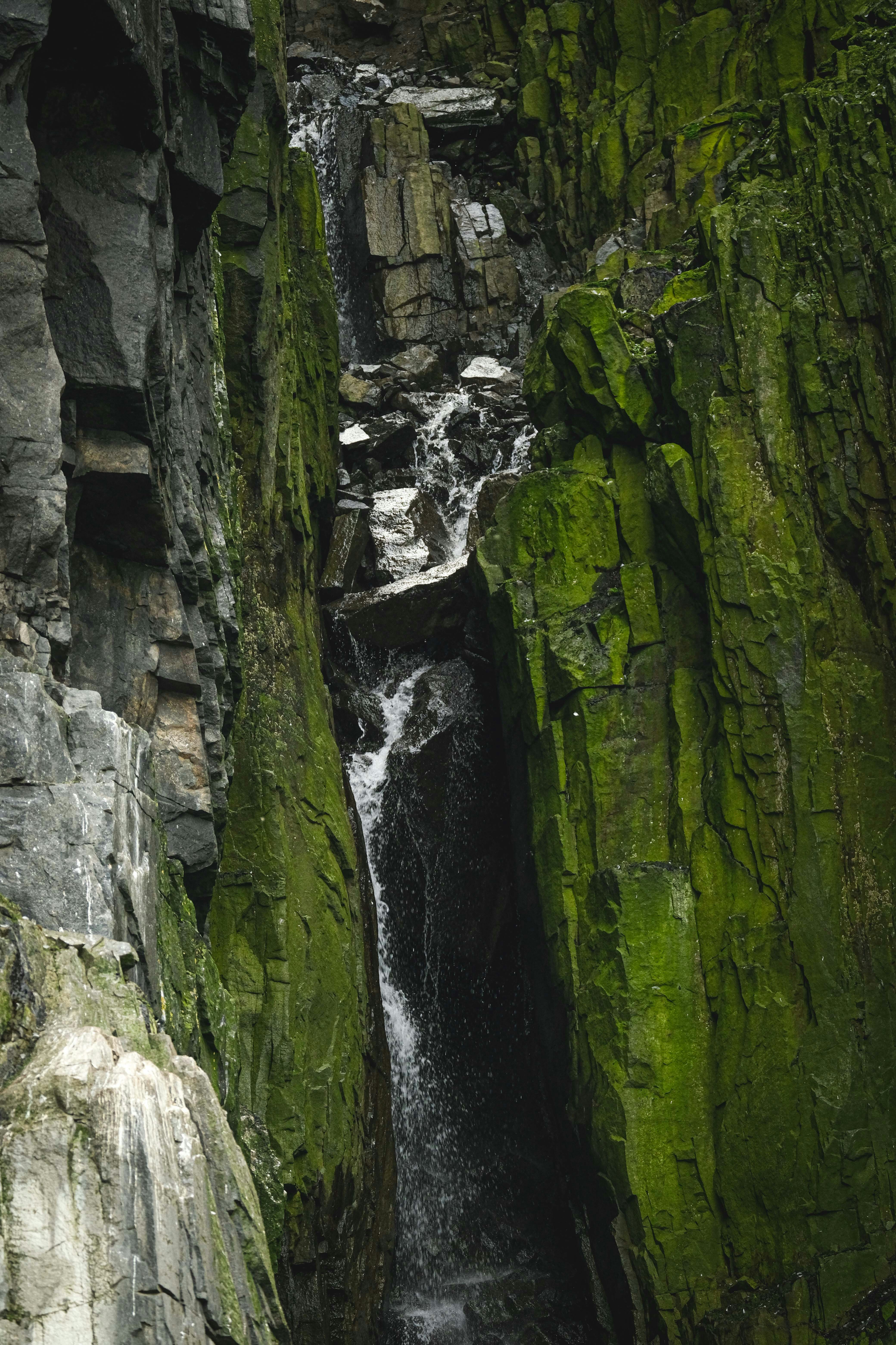 Photo by francesco_ungaro