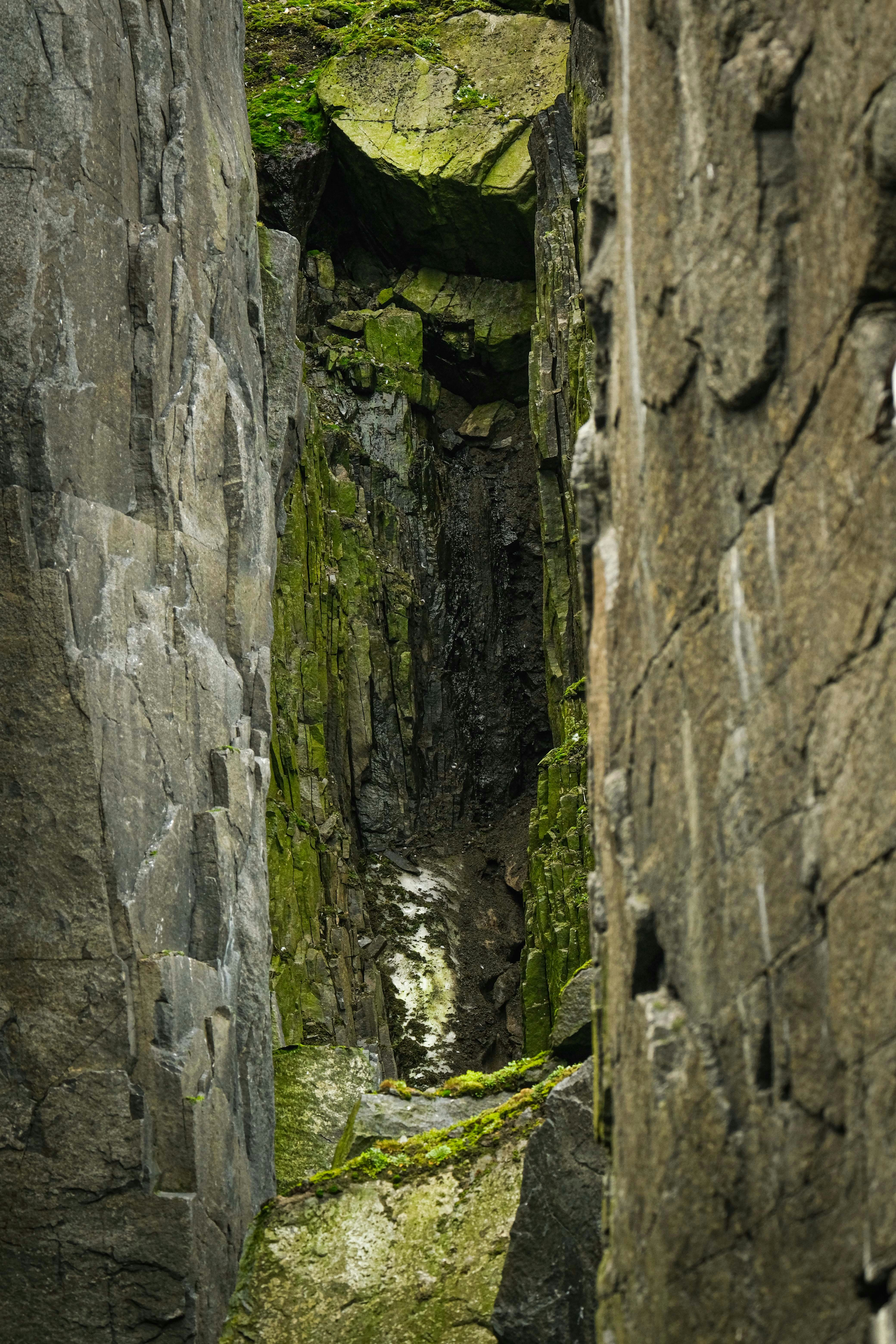 Photo by francesco_ungaro