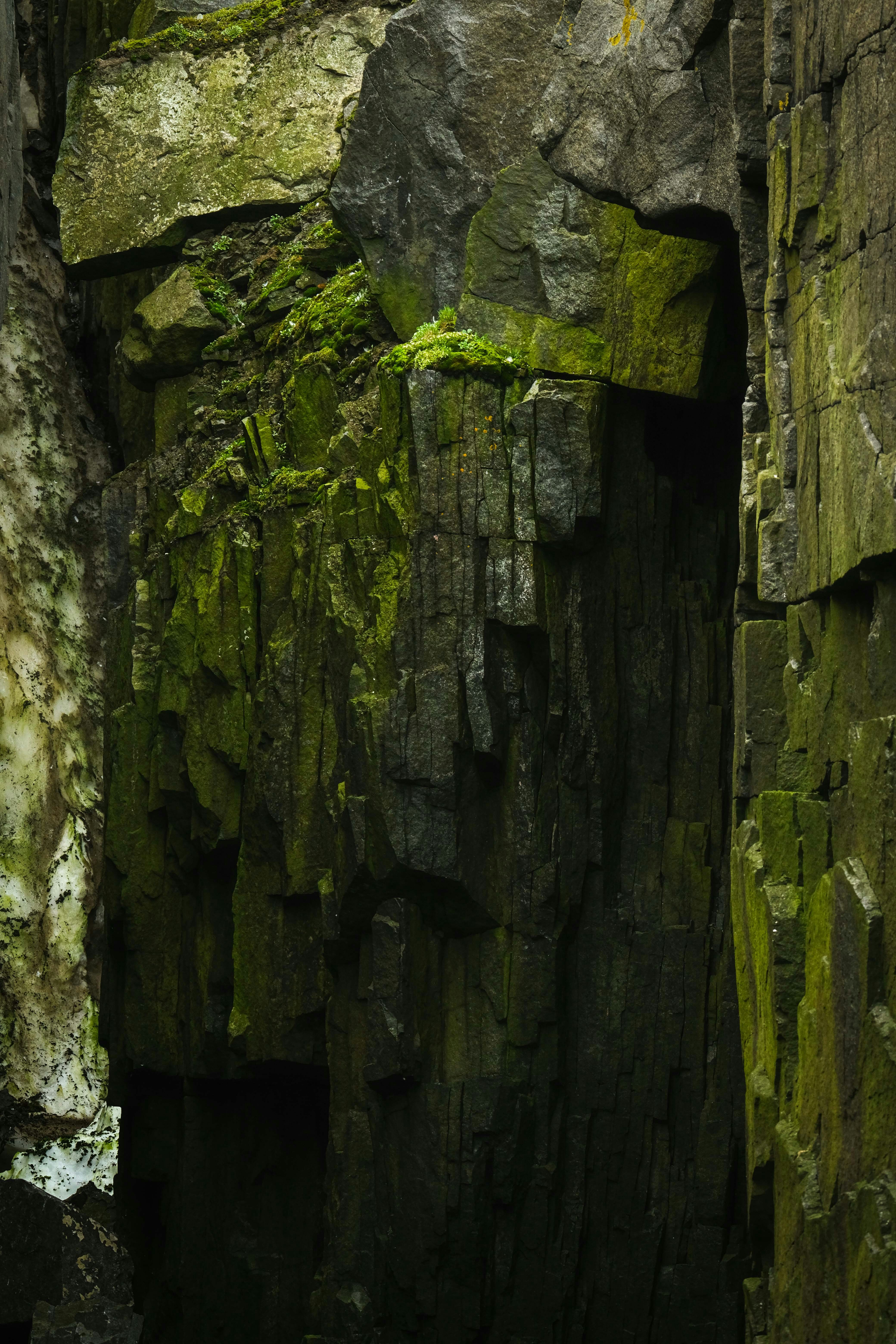 Photo by francesco_ungaro