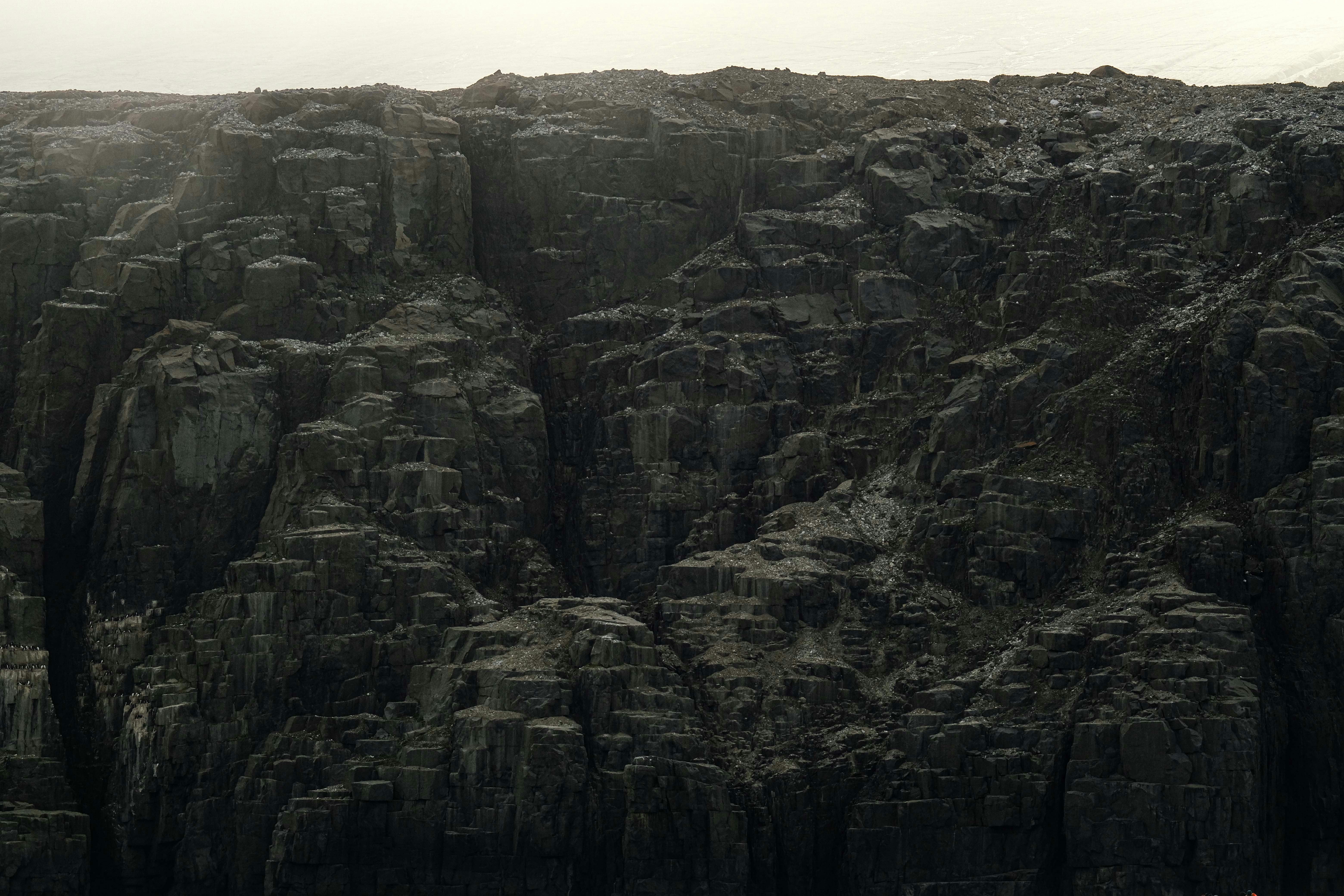 Photo by francesco_ungaro