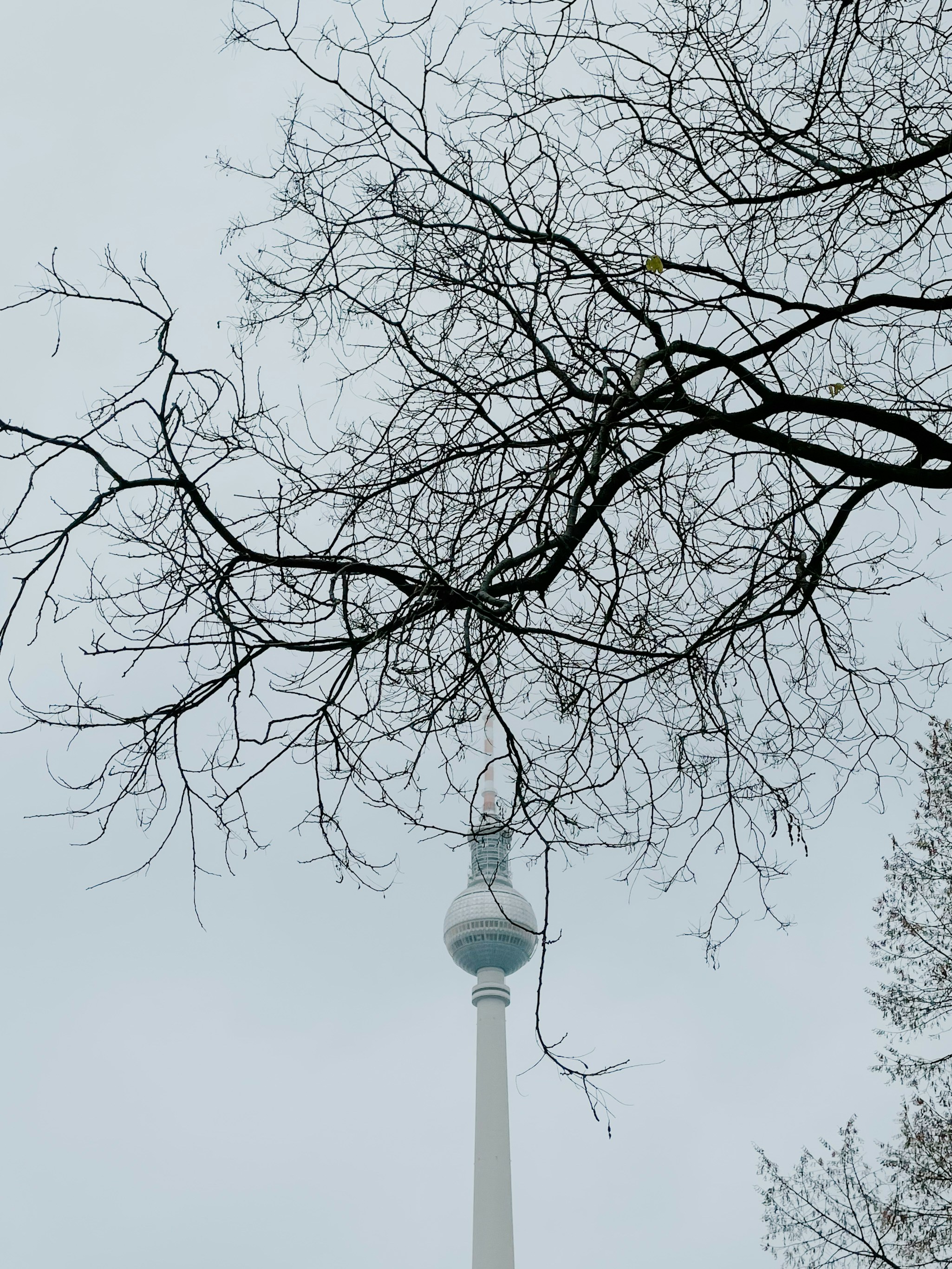 The Living City: Art, Music, and Subculture