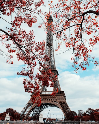 The eiffel tower is surrounded by red leaves