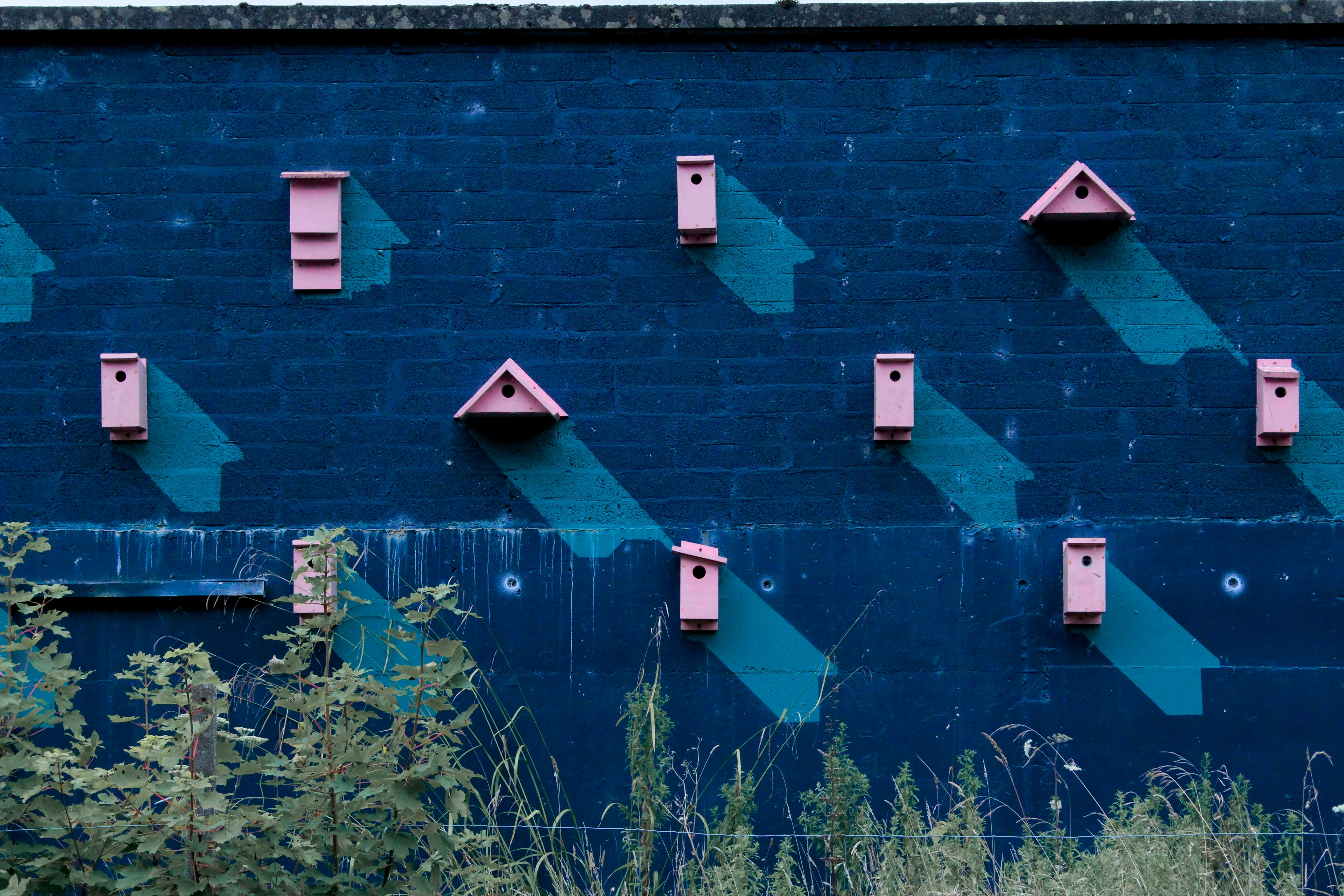 A blue wall with a bunch of pink boxes on it