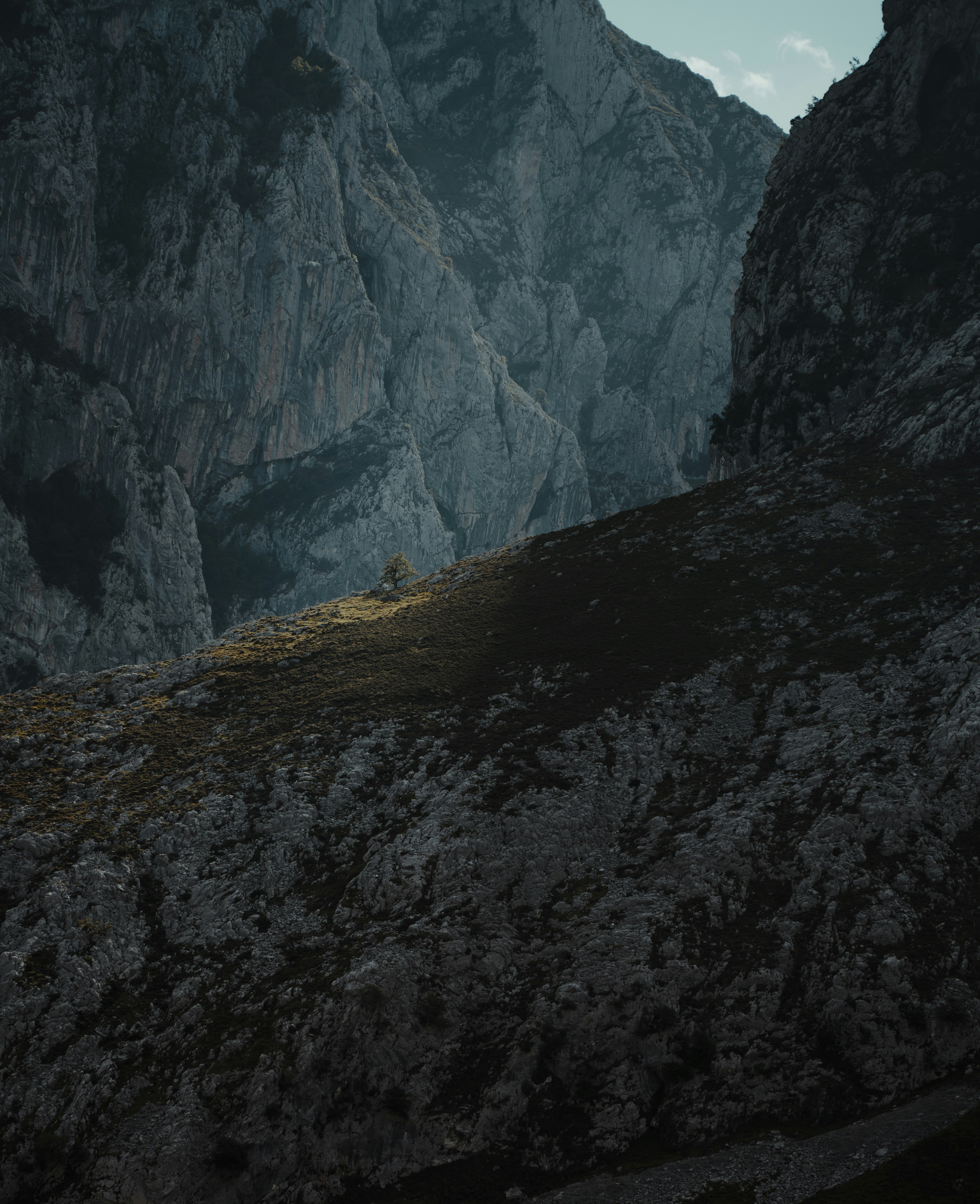 Photo by michielannaert