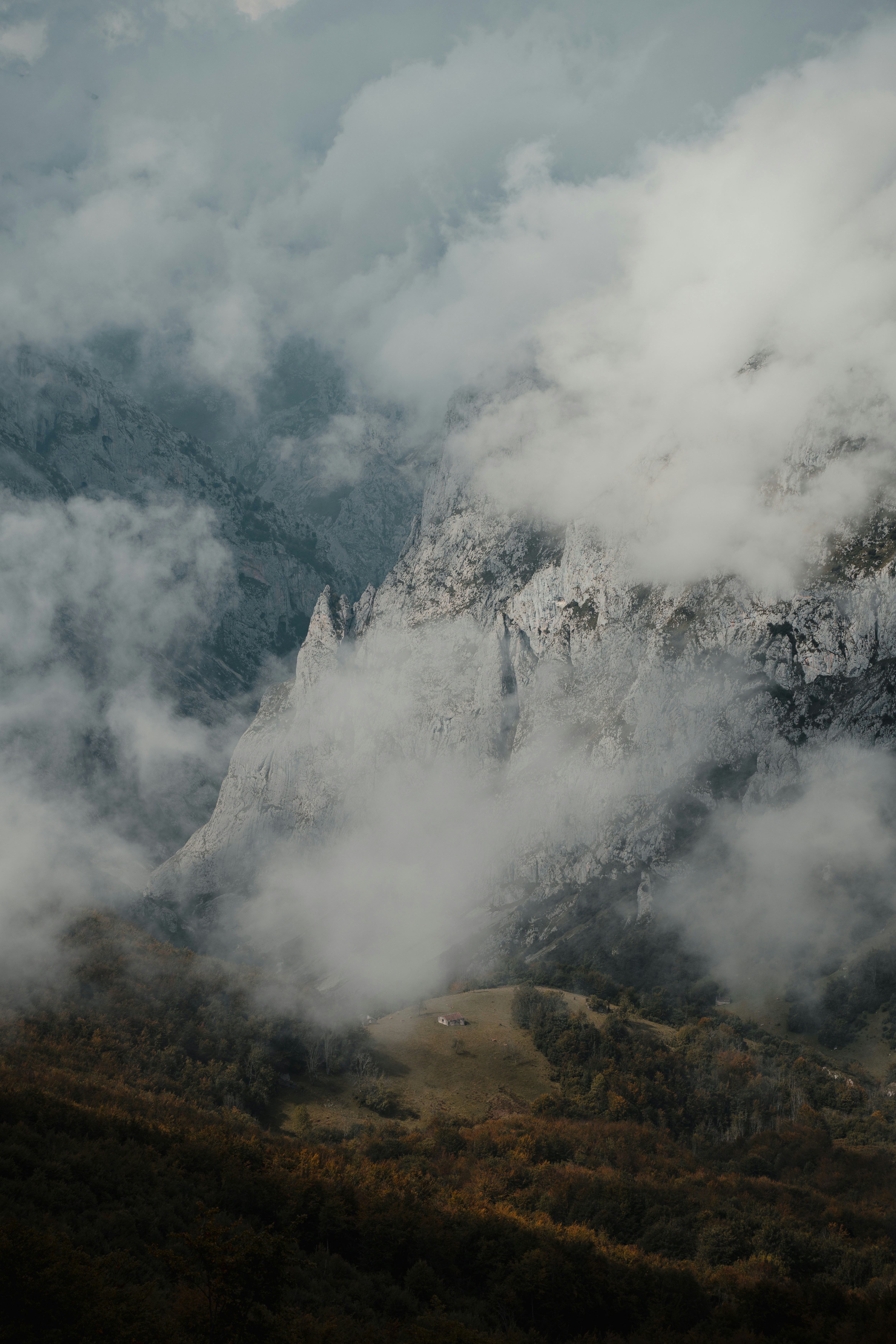 Photo by michielannaert