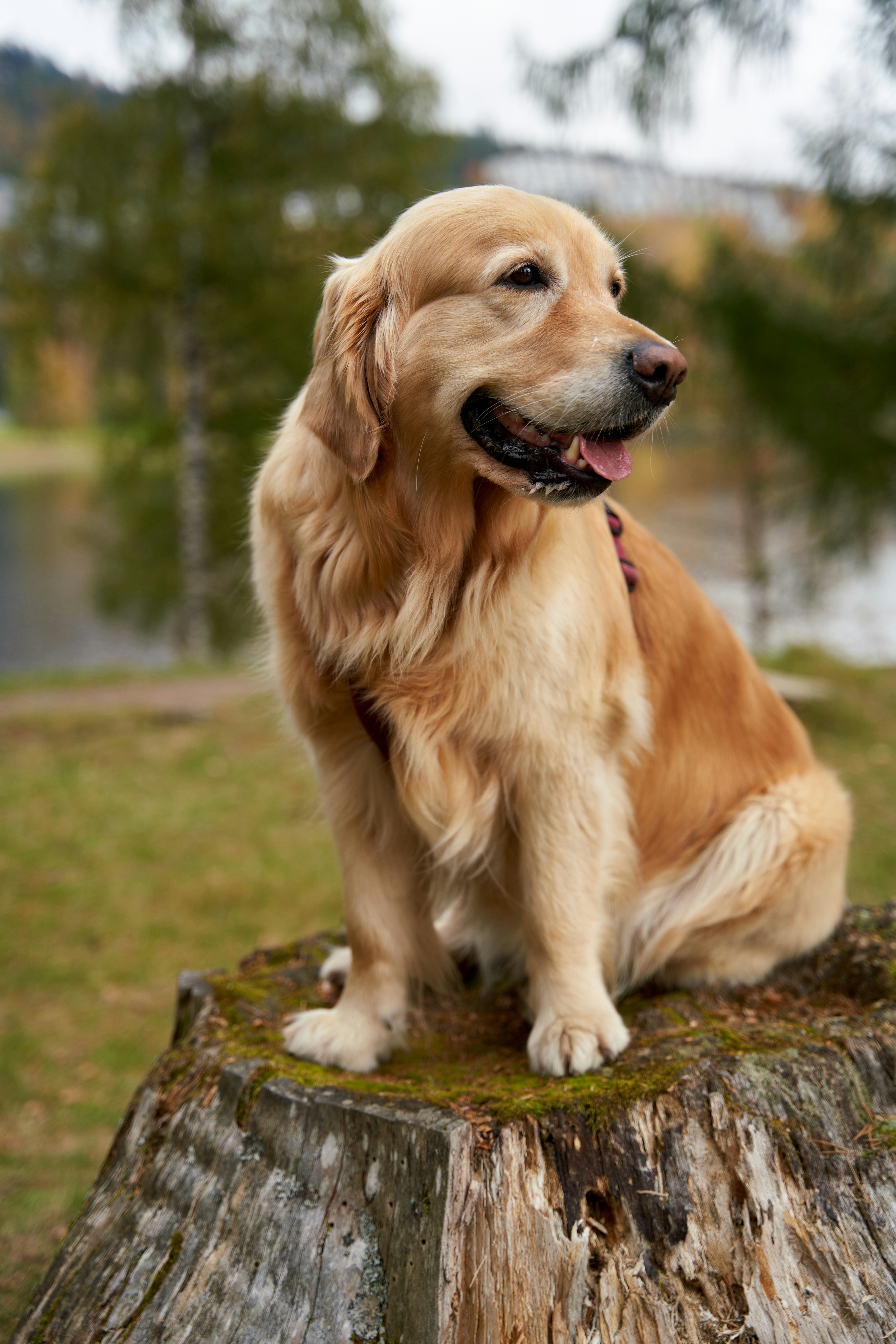 Photo by davotibarna