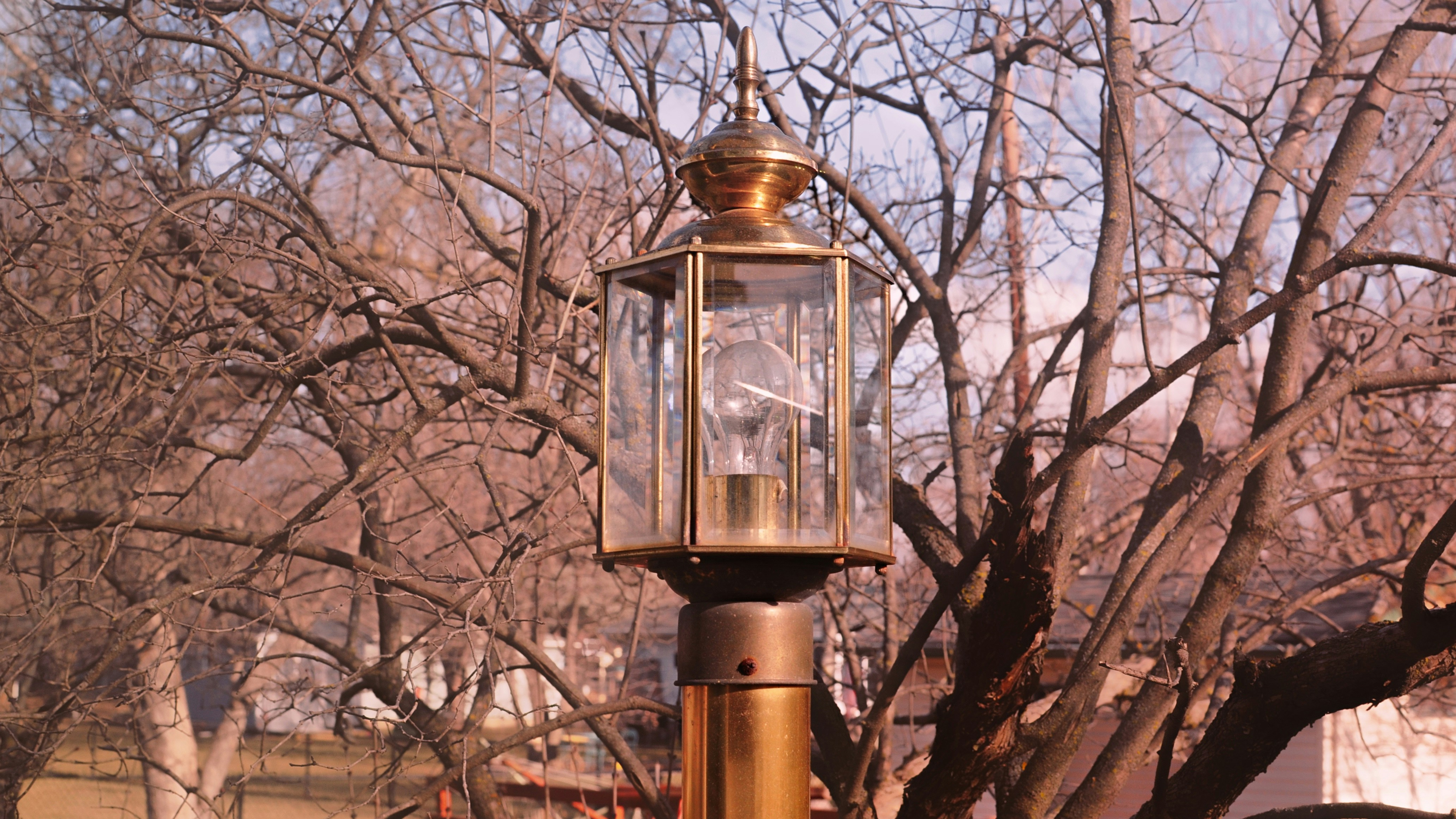 A lamp post with a clock on top of it