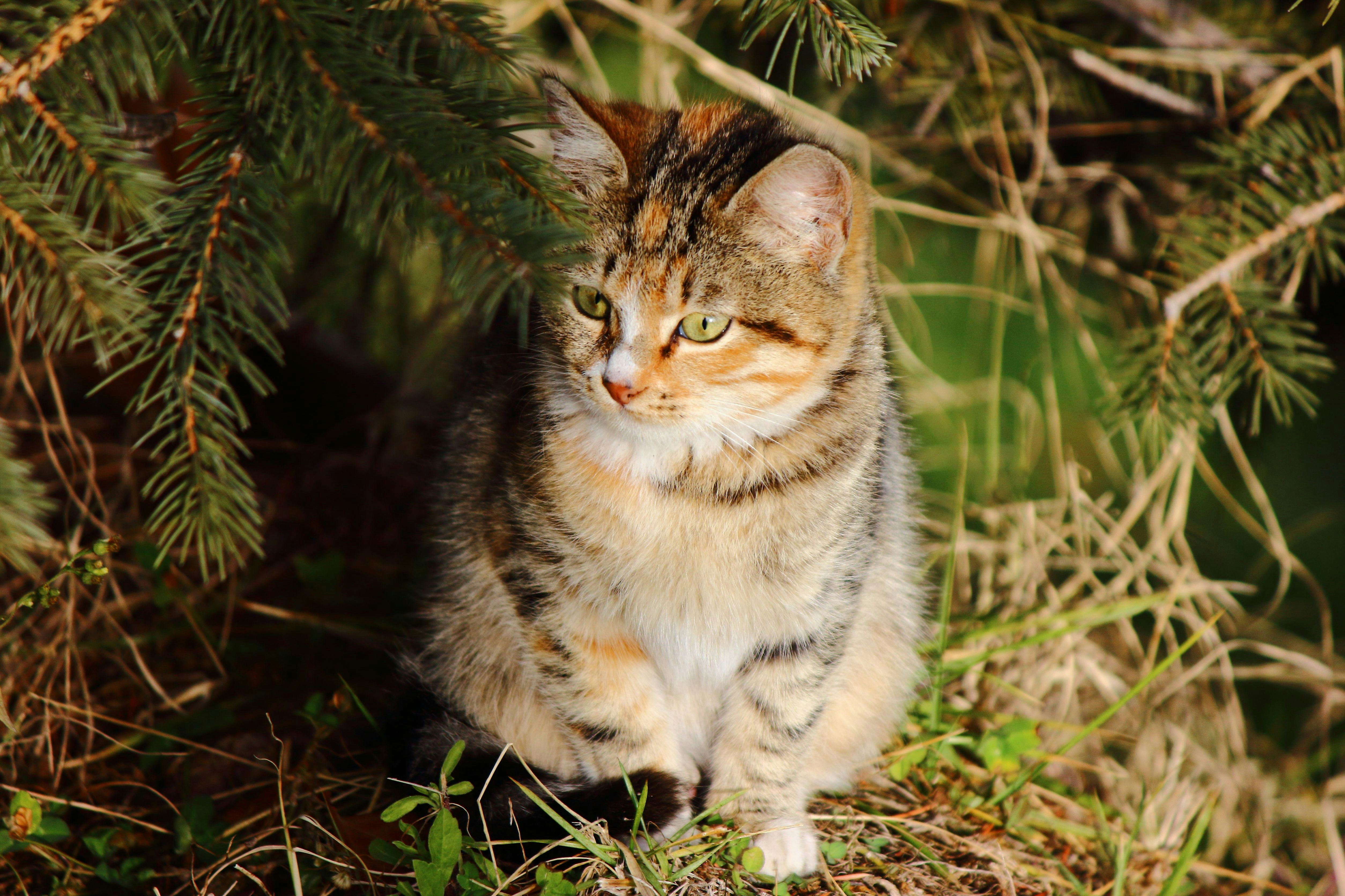 Photo by cengizozarpat