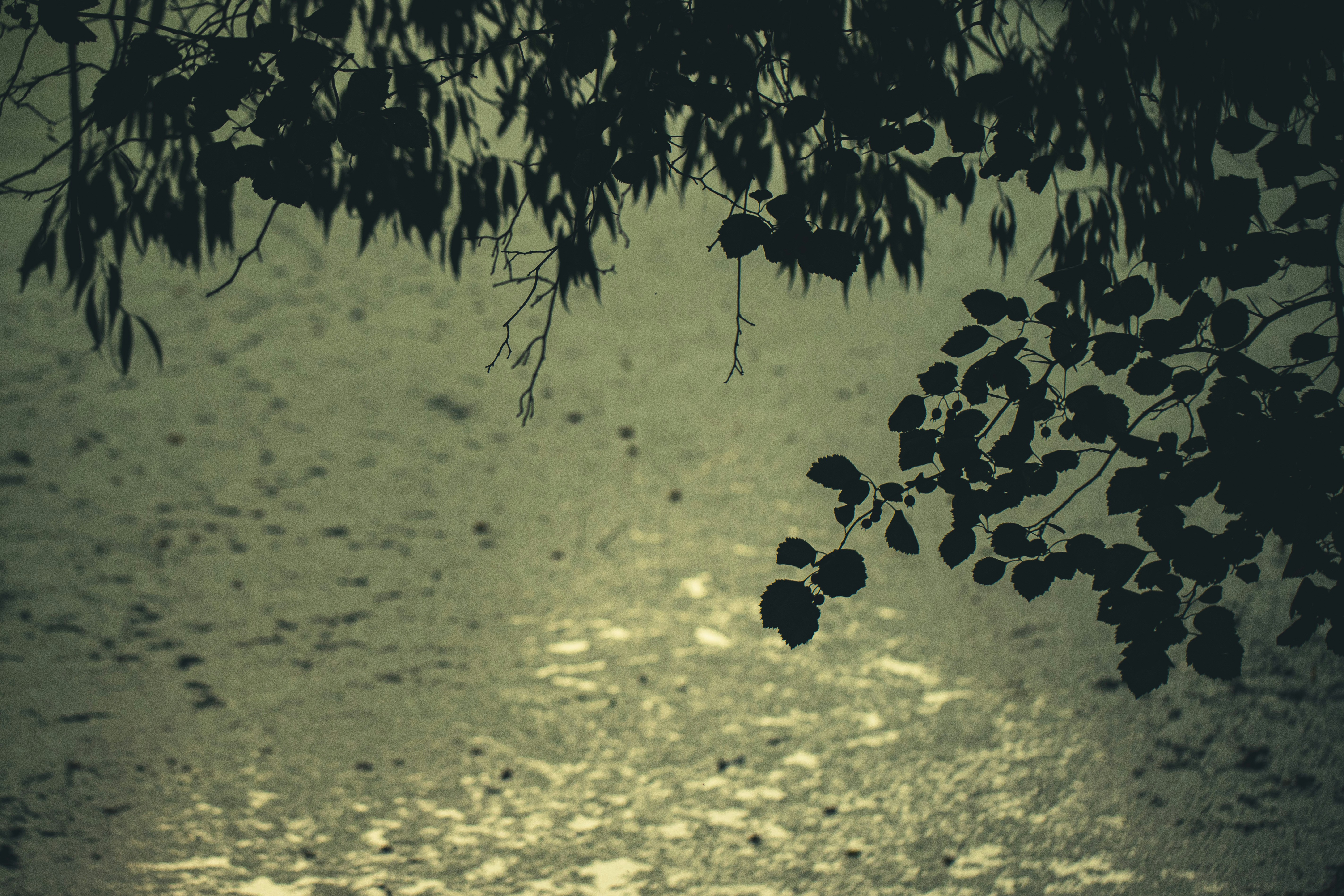 Photo by stef_enheart