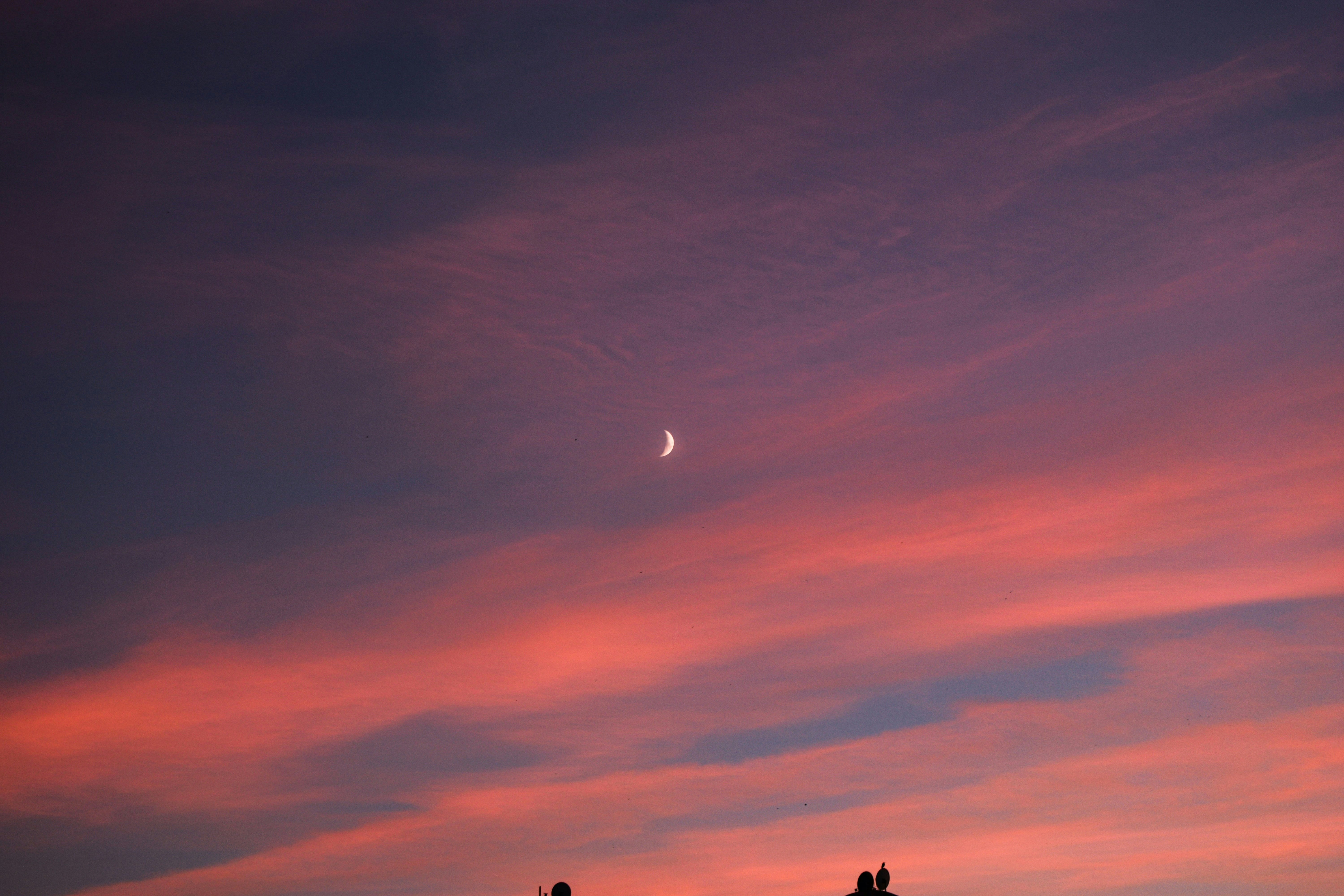 Photo by mutanzom