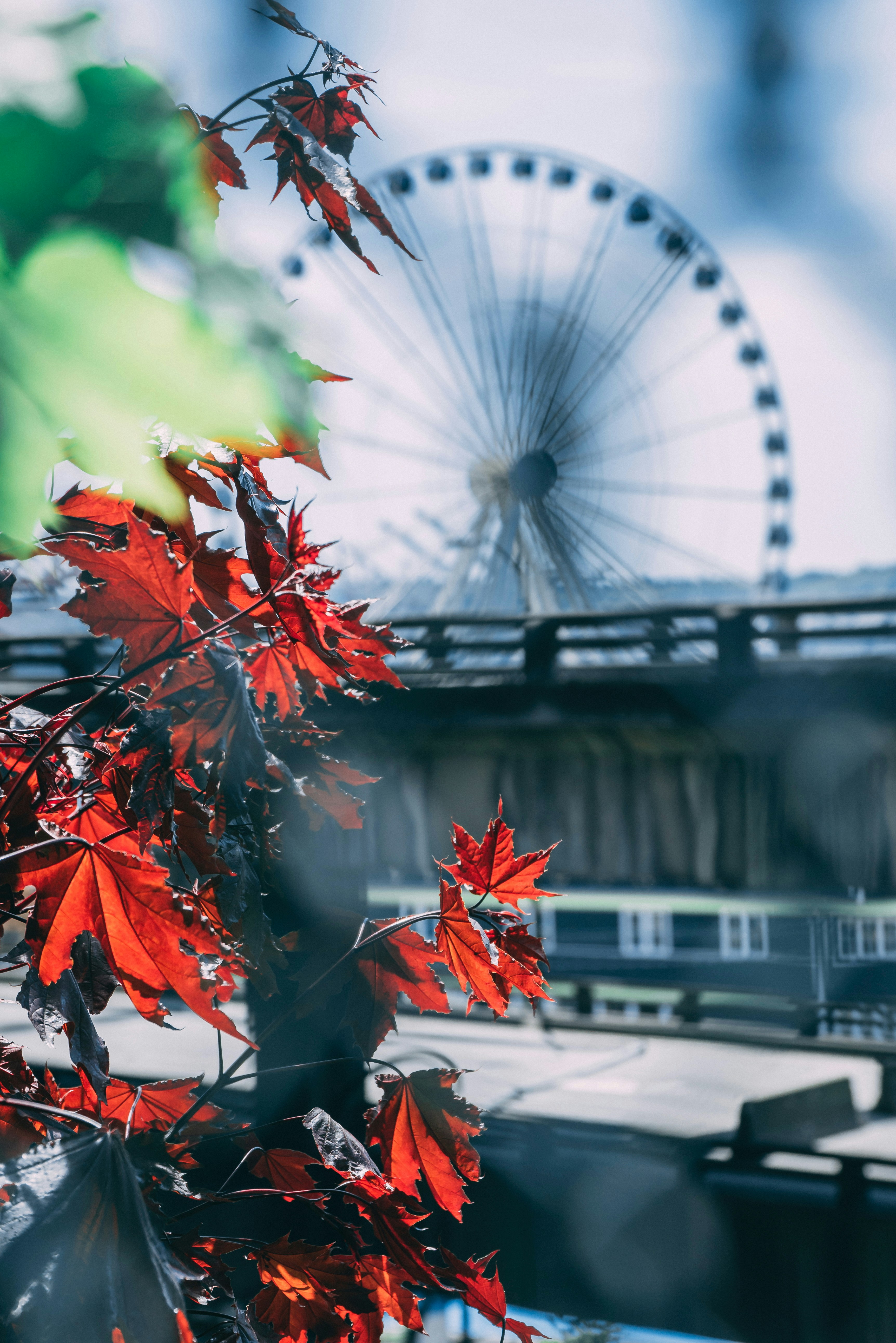 4K Mobile Wallpapers - Stunning Free Images on Unsplash, image size:3000x4497